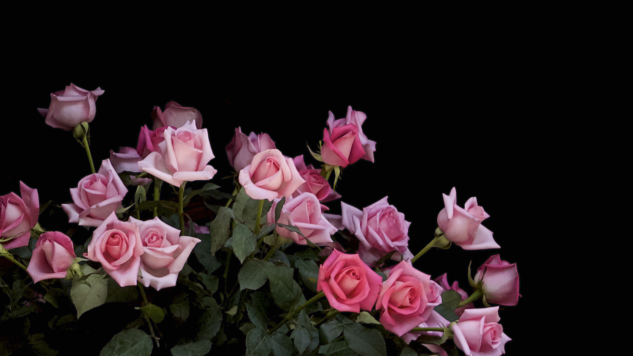 Обои букет роз цветок флора на рабочий стол