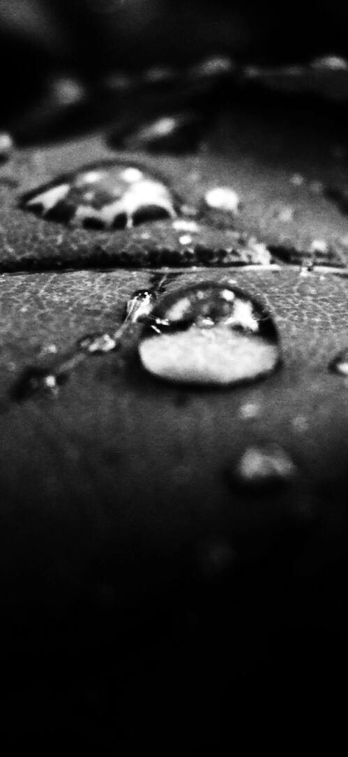 Бесплатное фото Черно-белая влага
