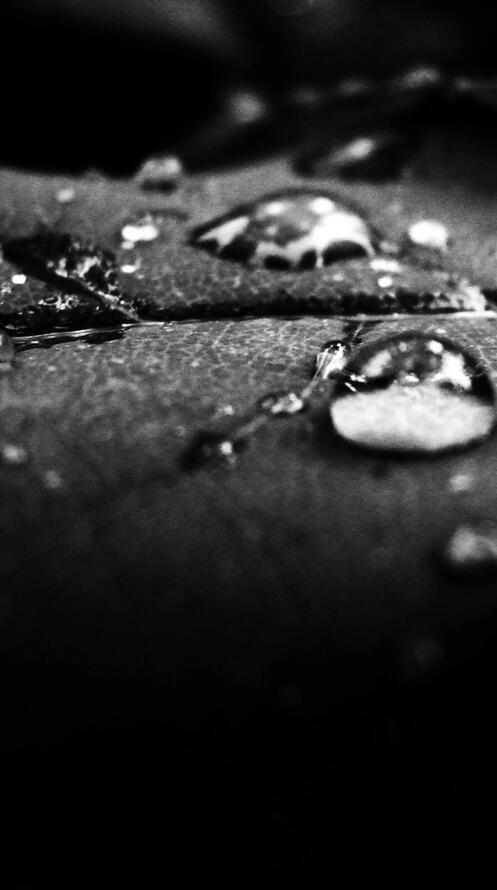 Бесплатное фото Черно-белая влага