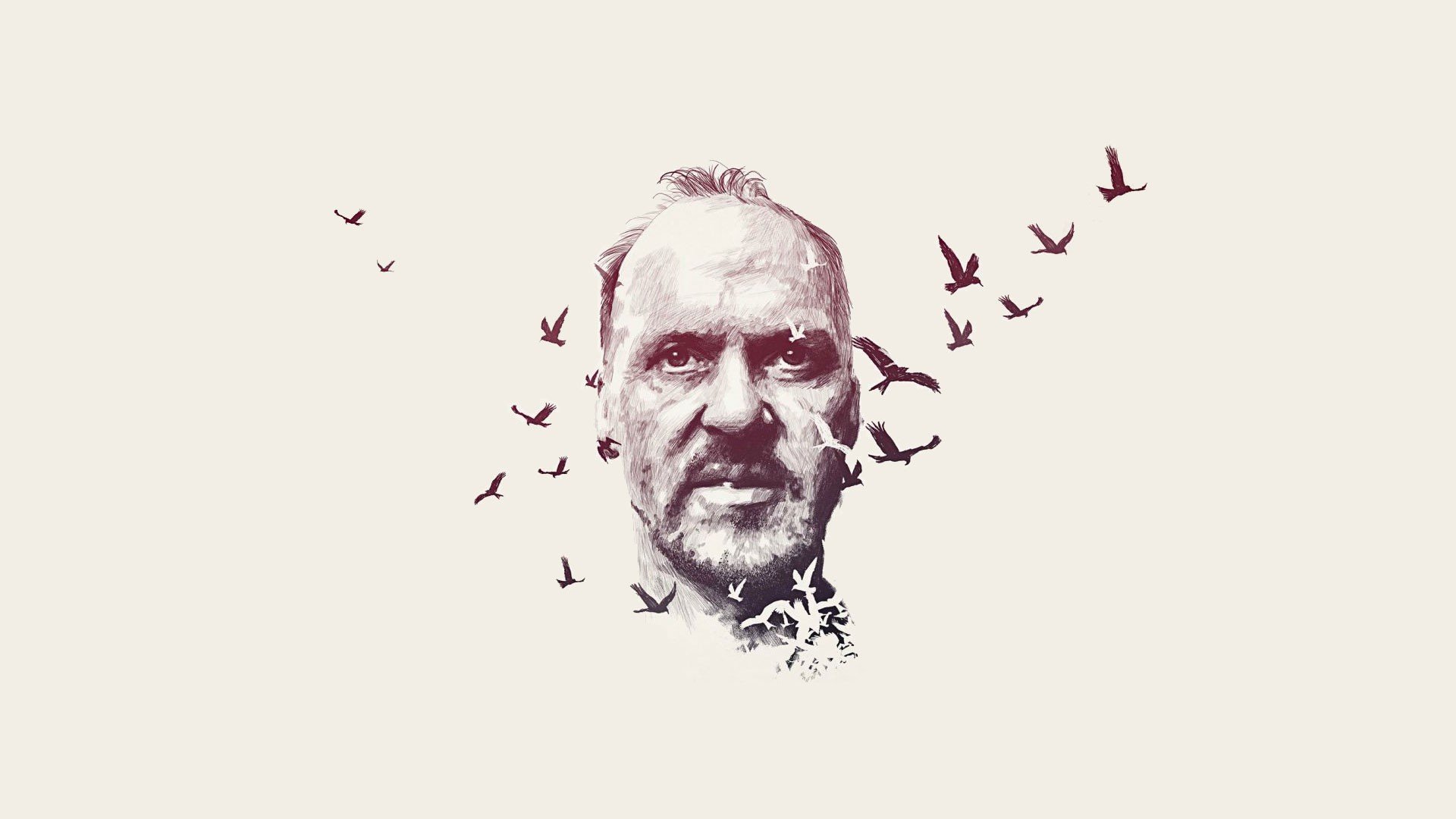 桌面上的壁纸壁纸 Birdman 汽车