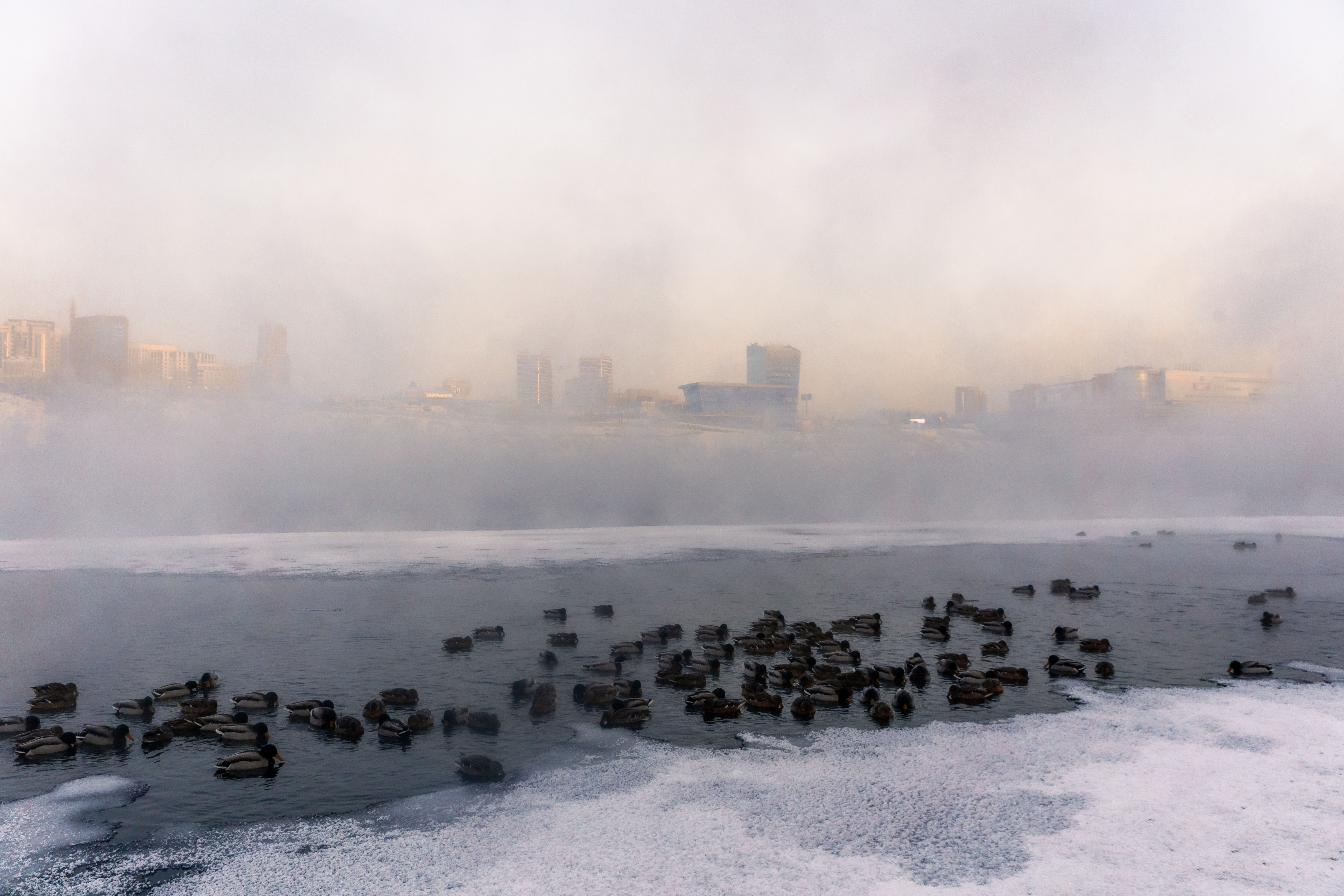 Бесплатное фото Морозное утро у реки