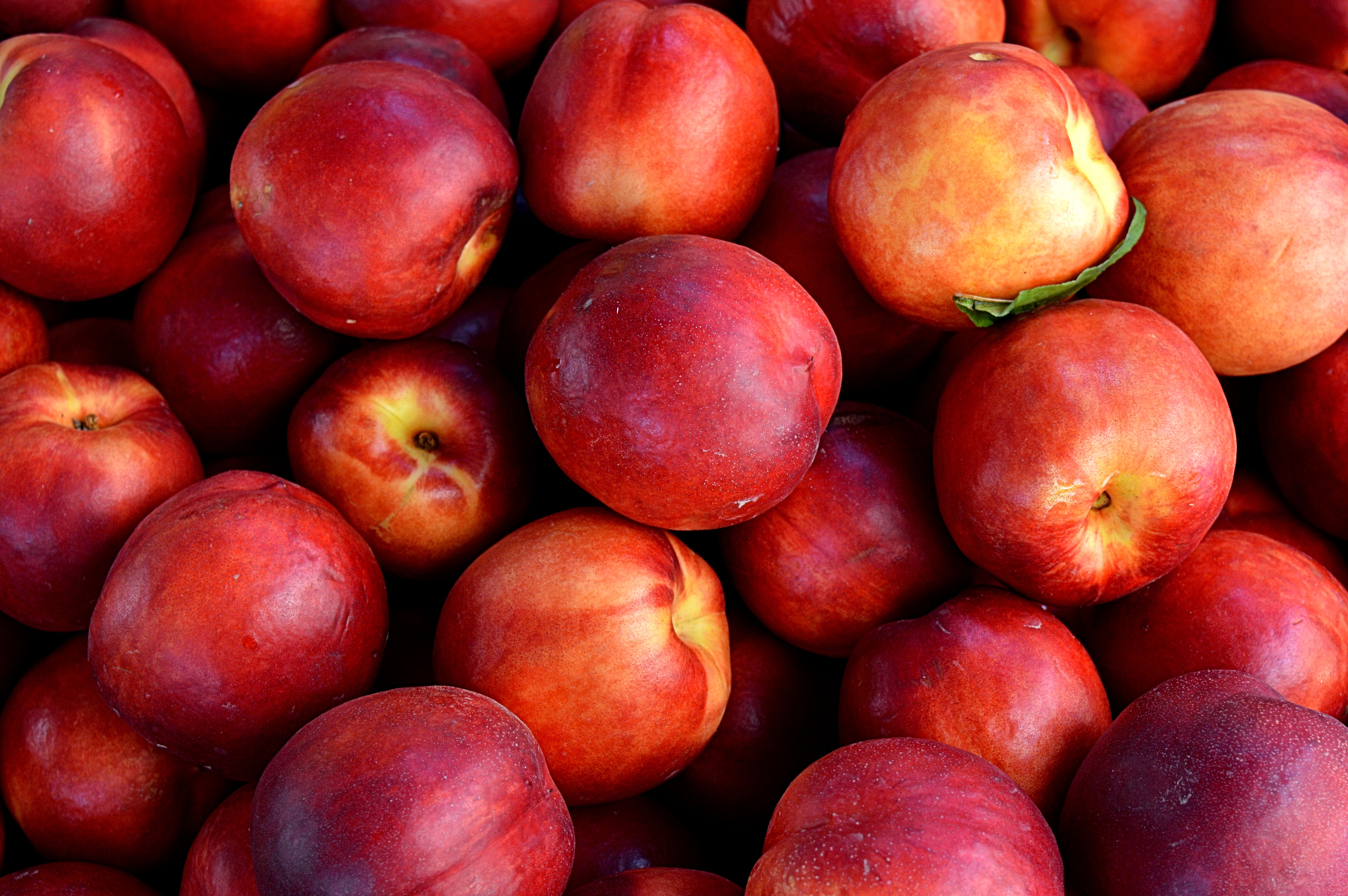 Free photo Ripe peaches in the color red