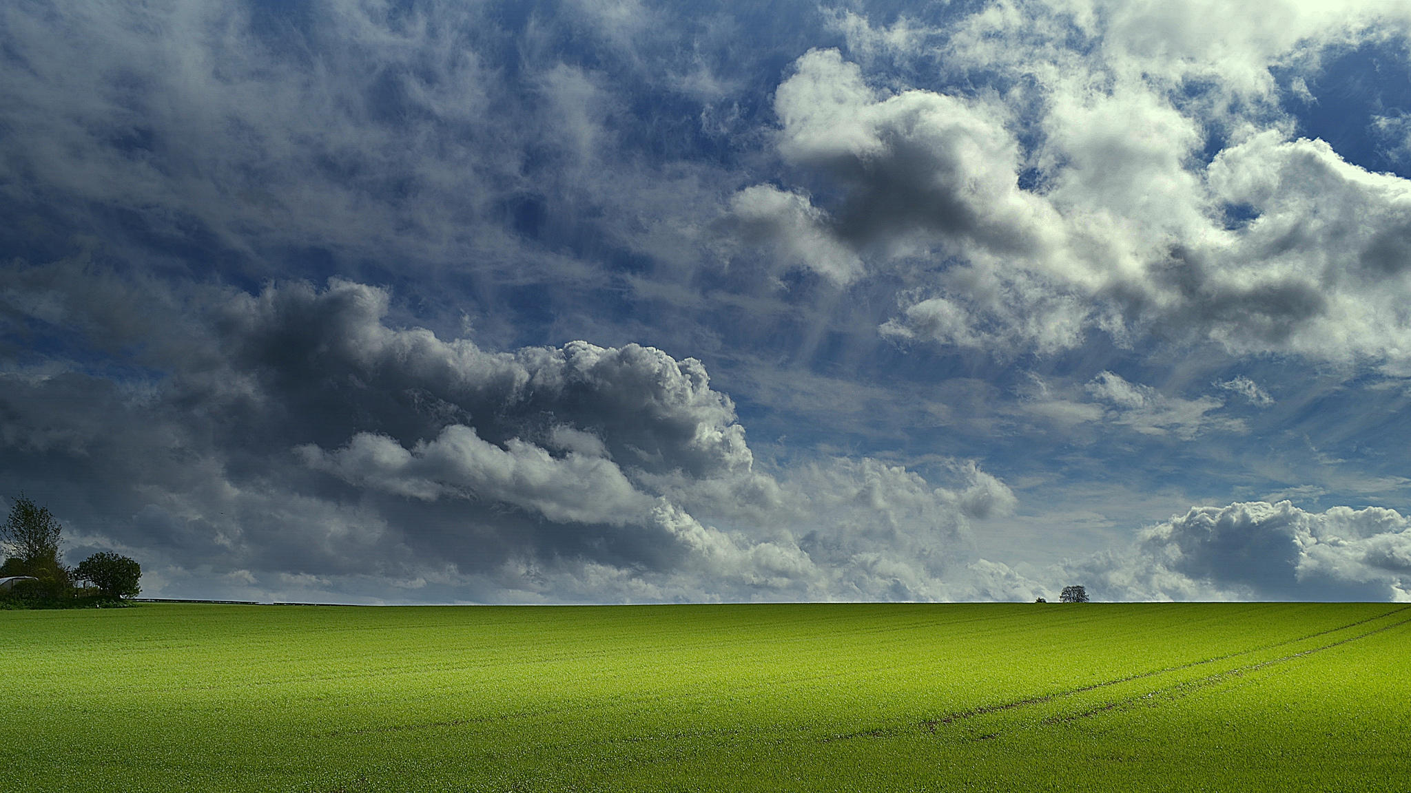 Wallpapers sunset summer field on the desktop