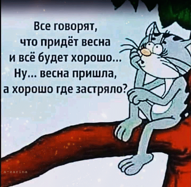 主题为猫 春季 好的明信片免费下载