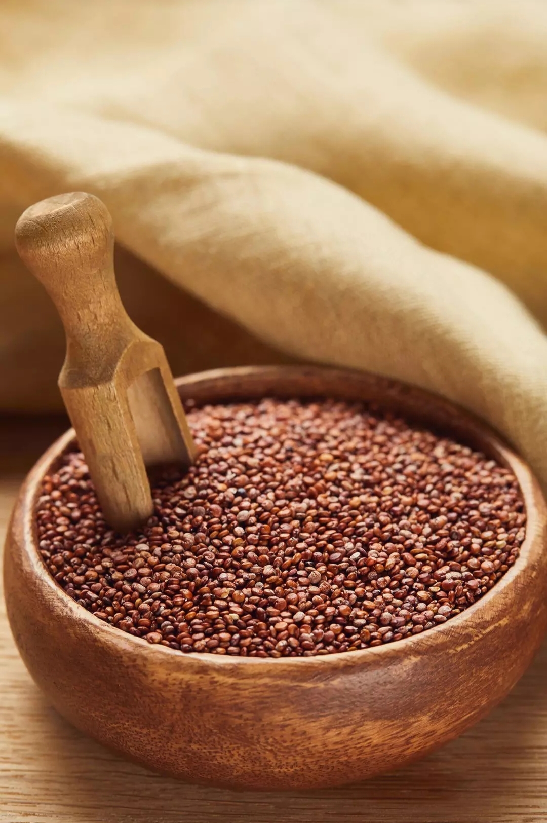 Бесплатное фото Семена кино в миске