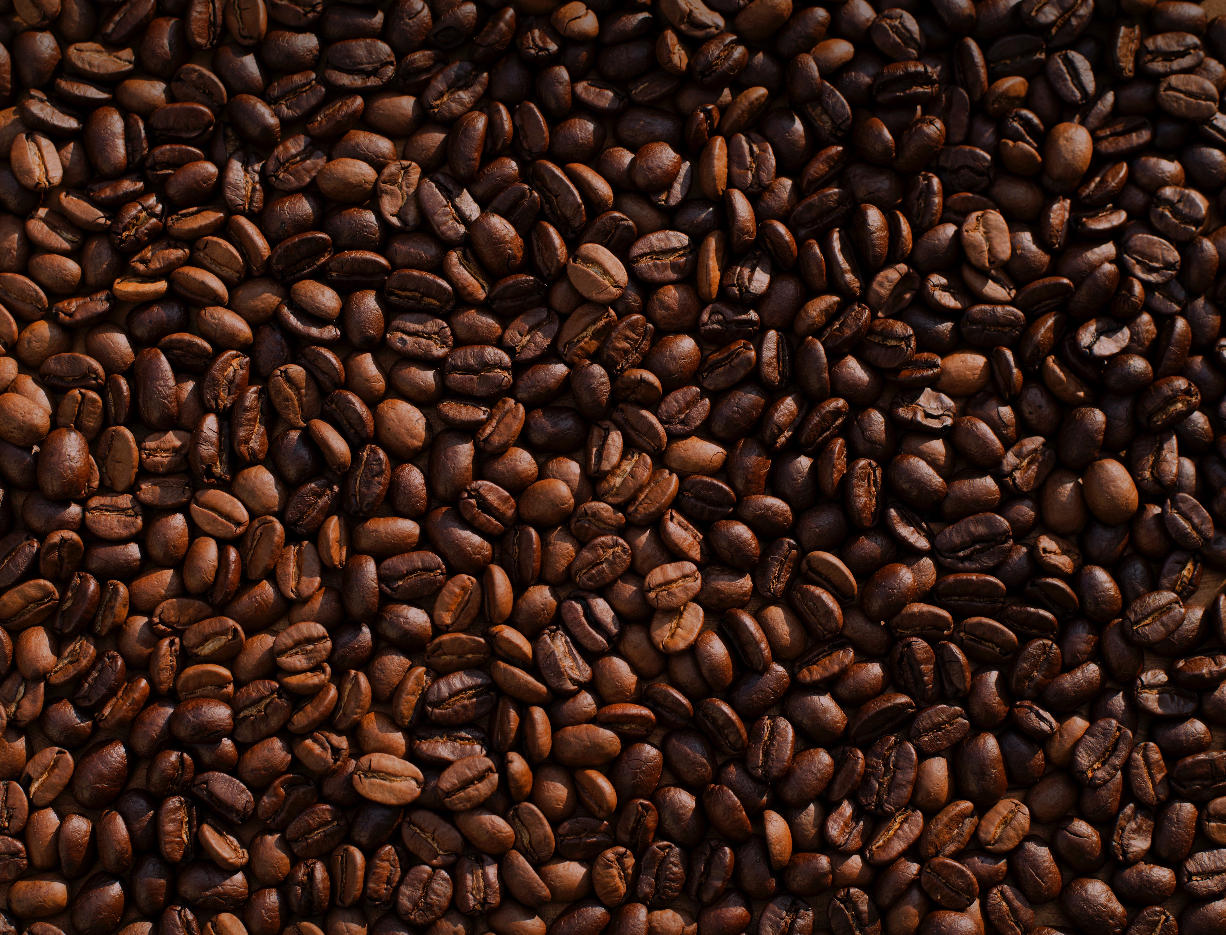 咖啡豆的质地