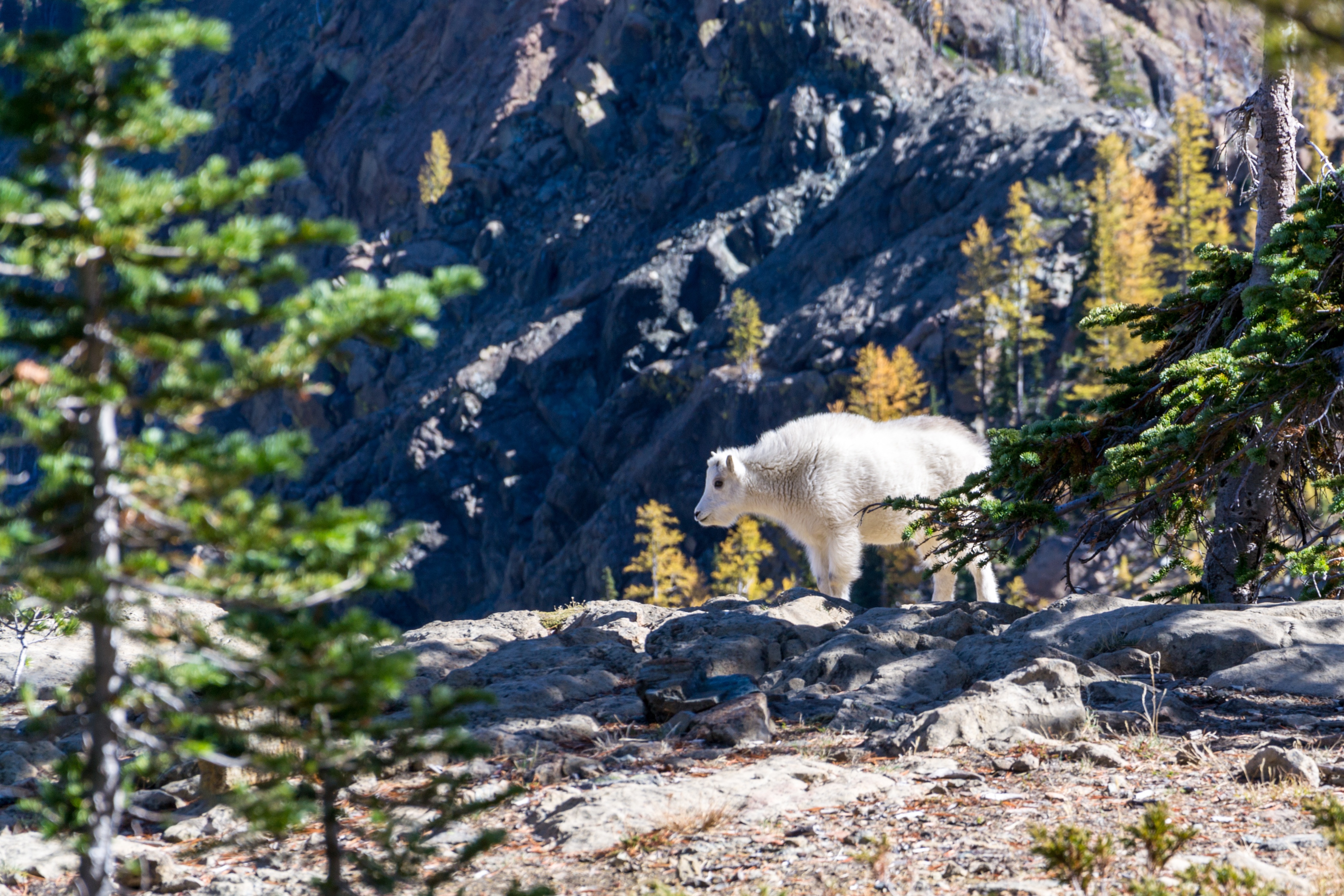 Wallpapers nature wilderness mountains on the desktop