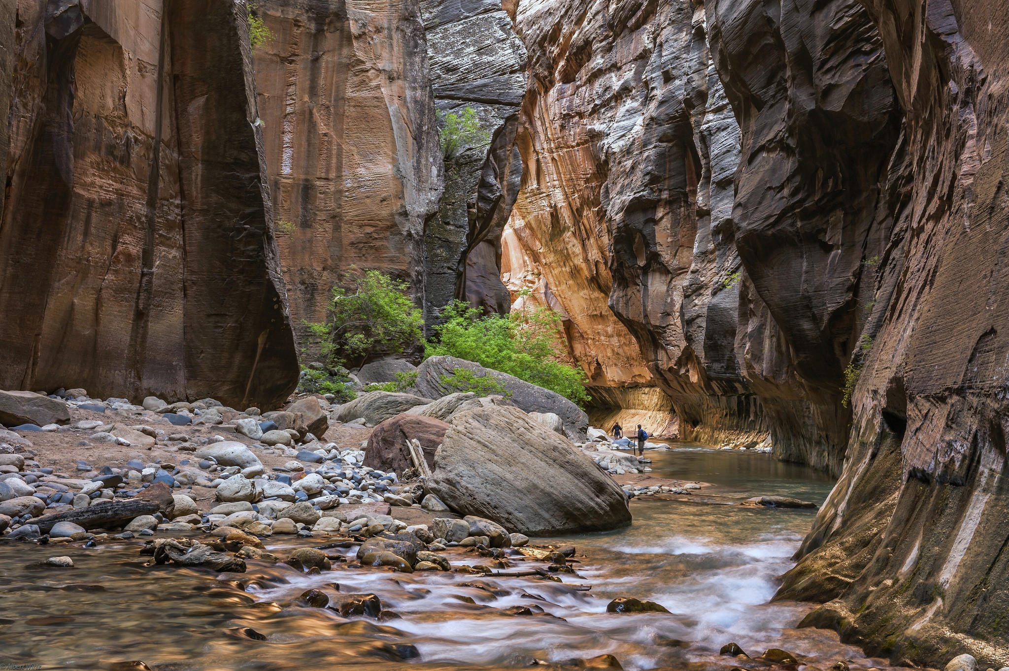 Wallpapers Virgin River Zion National Park mountains on the desktop