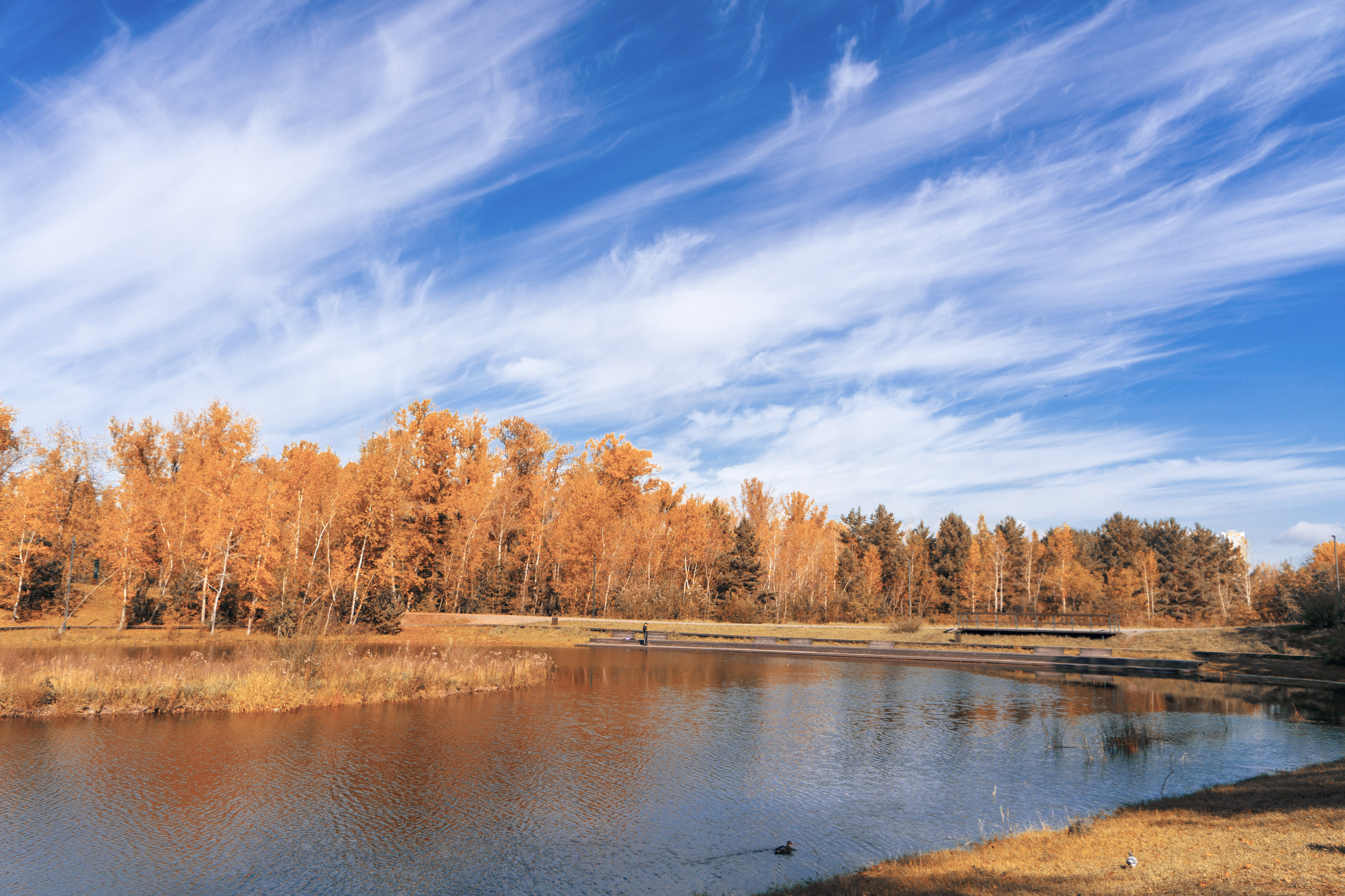 Free photo An autumn afternoon in a park in Siberia