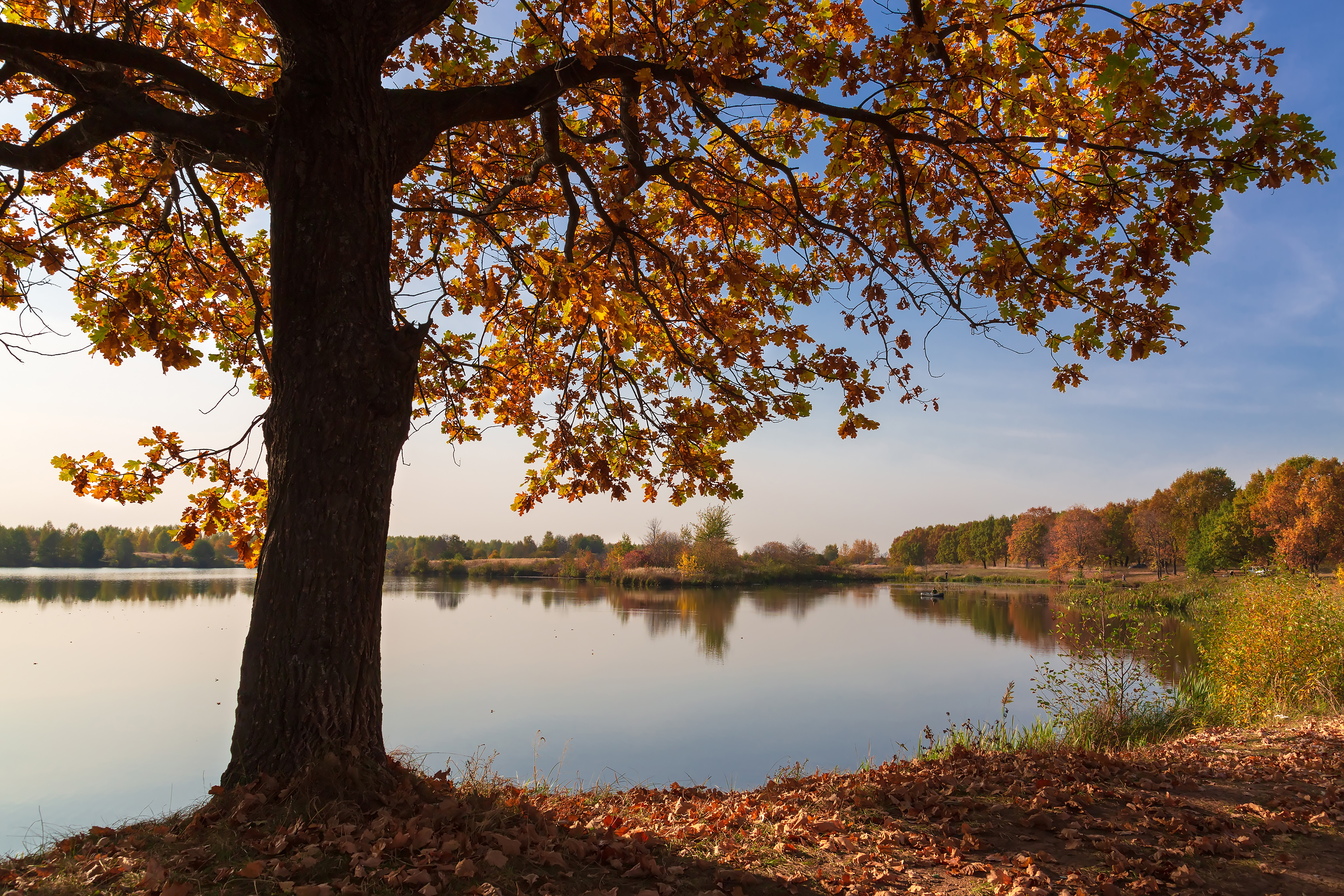 On the shore of a fall lake