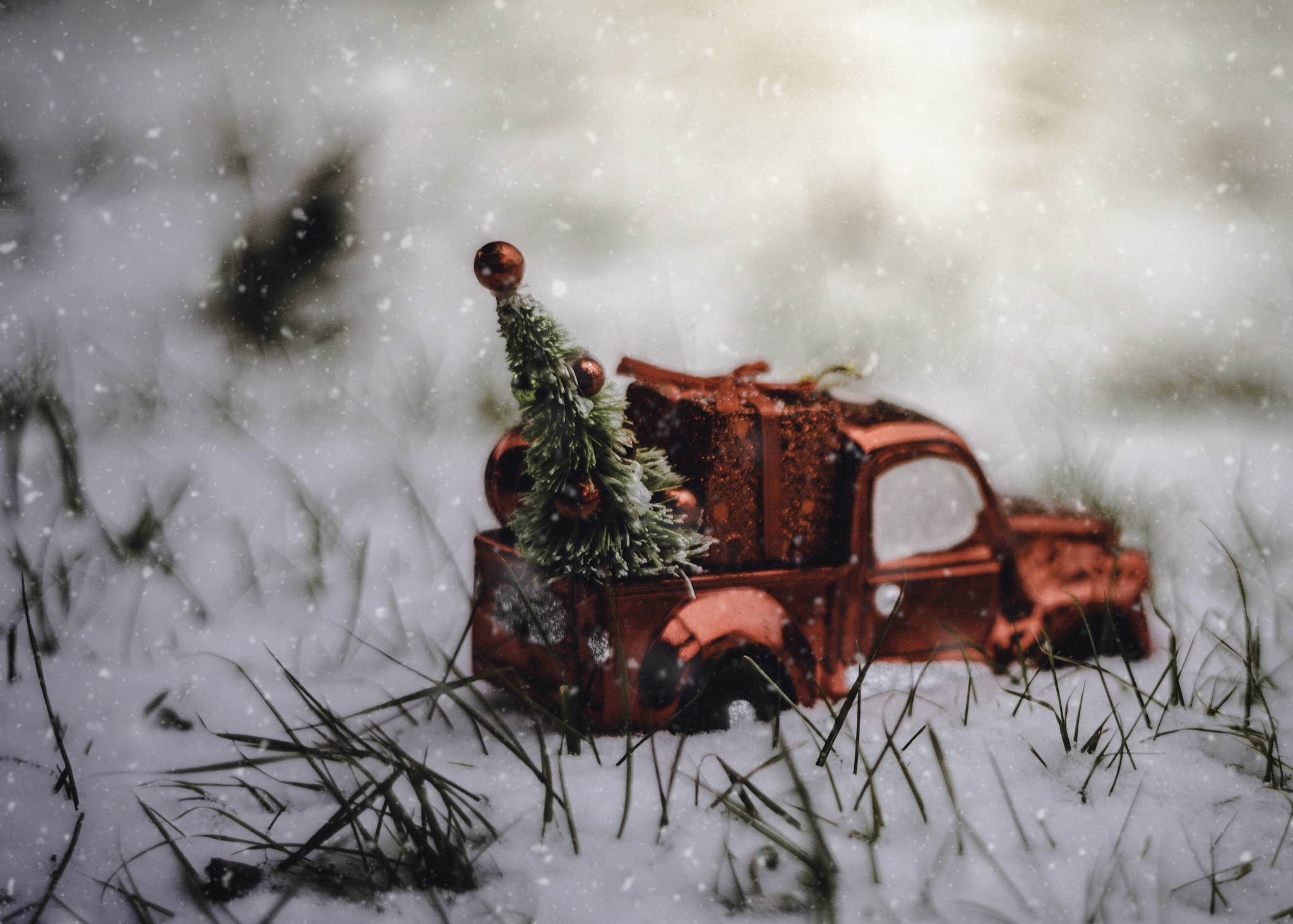 一辆挂着圣诞树的汽车