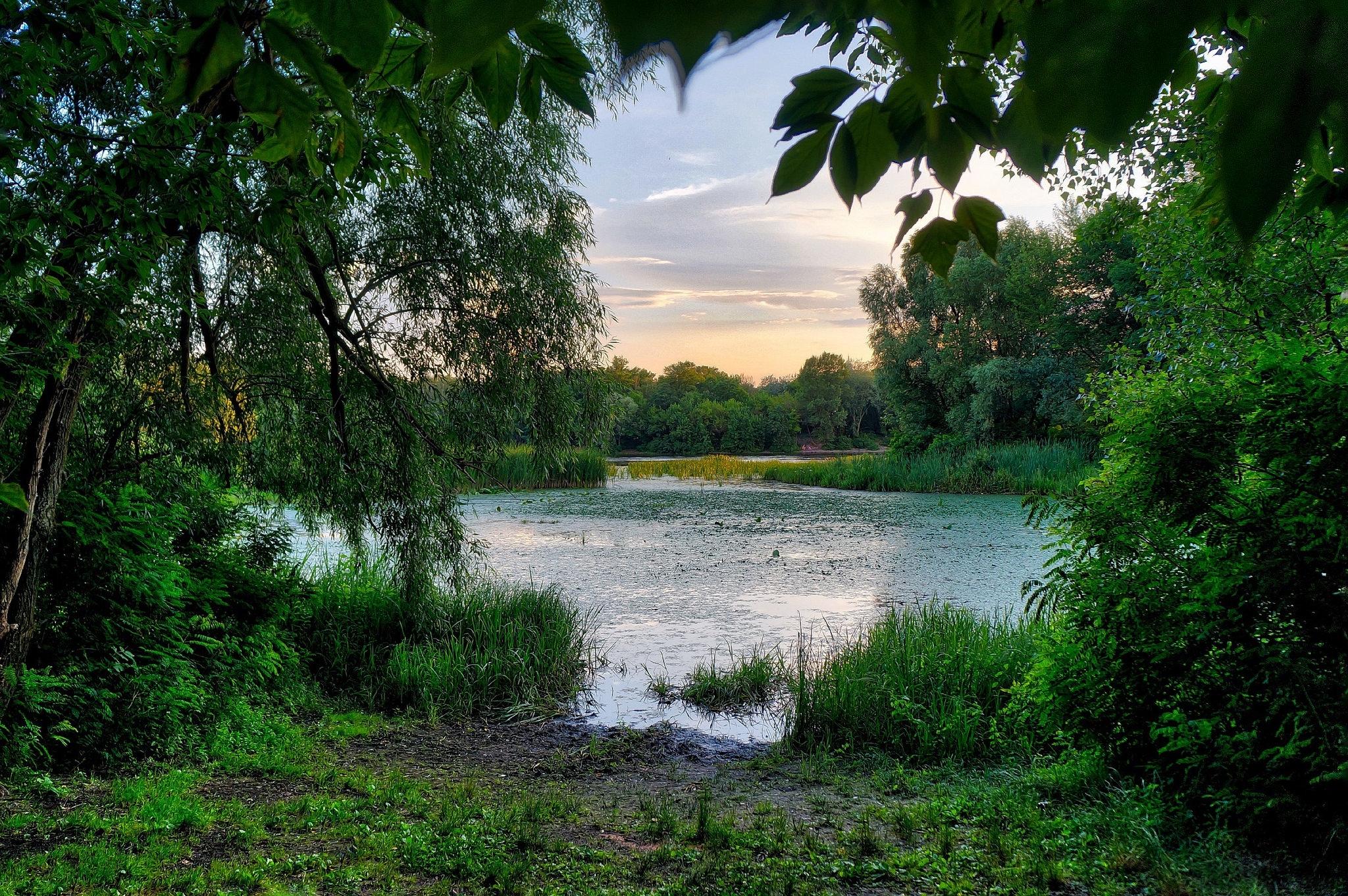 Wallpapers river sunset Ukraine on the desktop