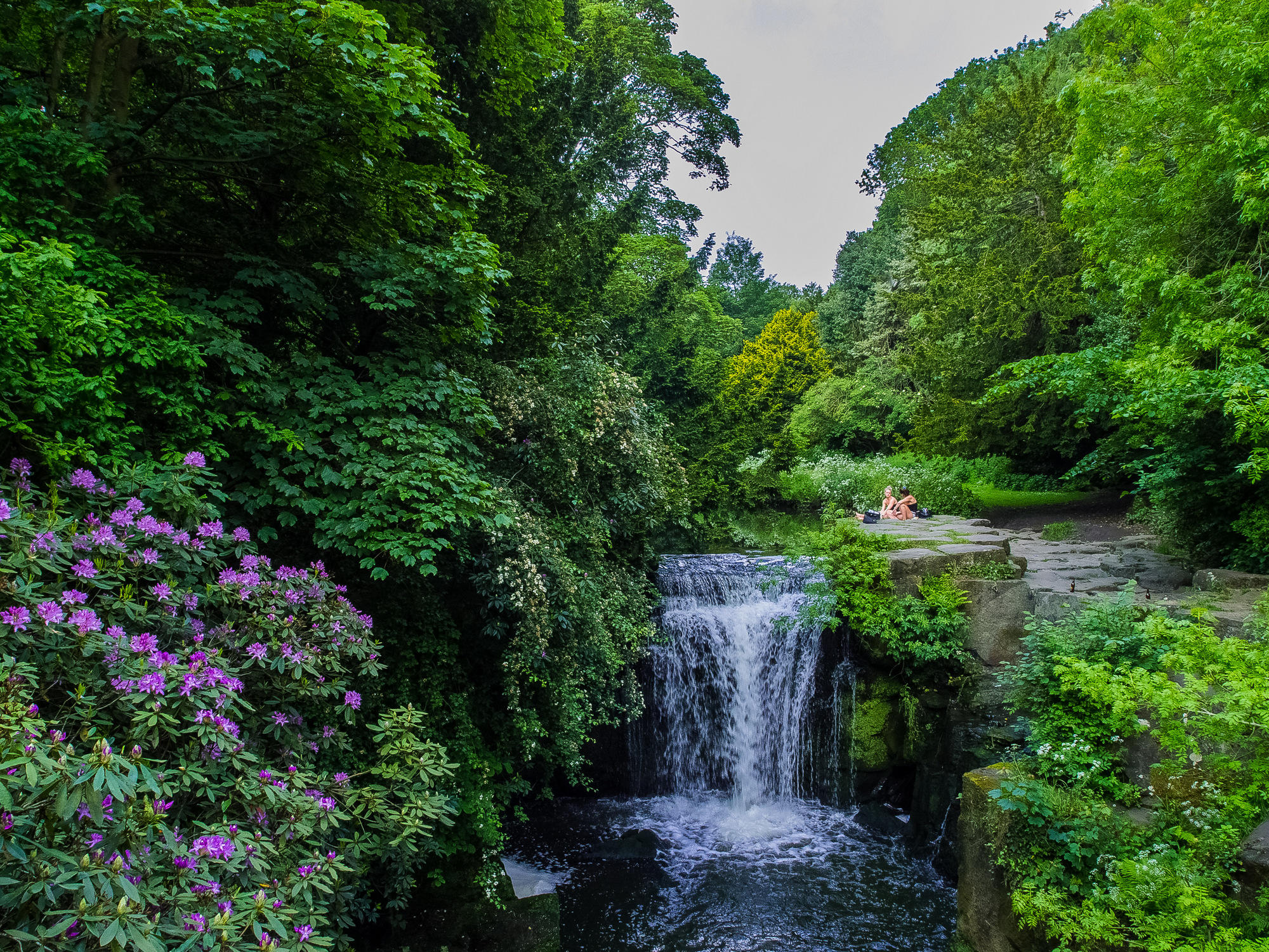 桌面上的壁纸Jesmond Dene 瀑布 Jesmond Dene公共公园 瀑布