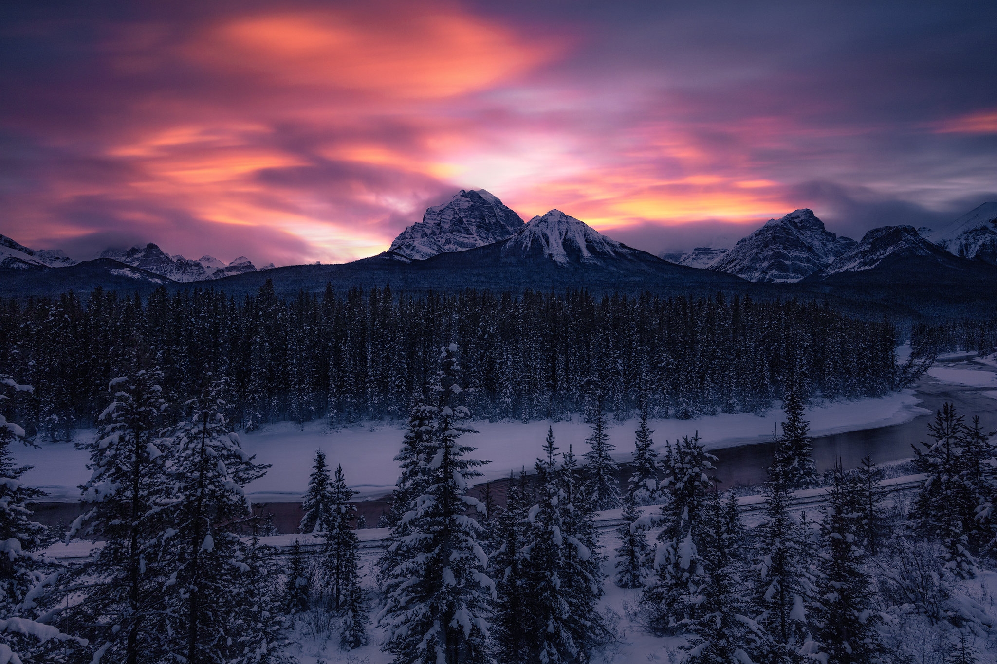 Обои деревья зима Banff National Park на рабочий стол