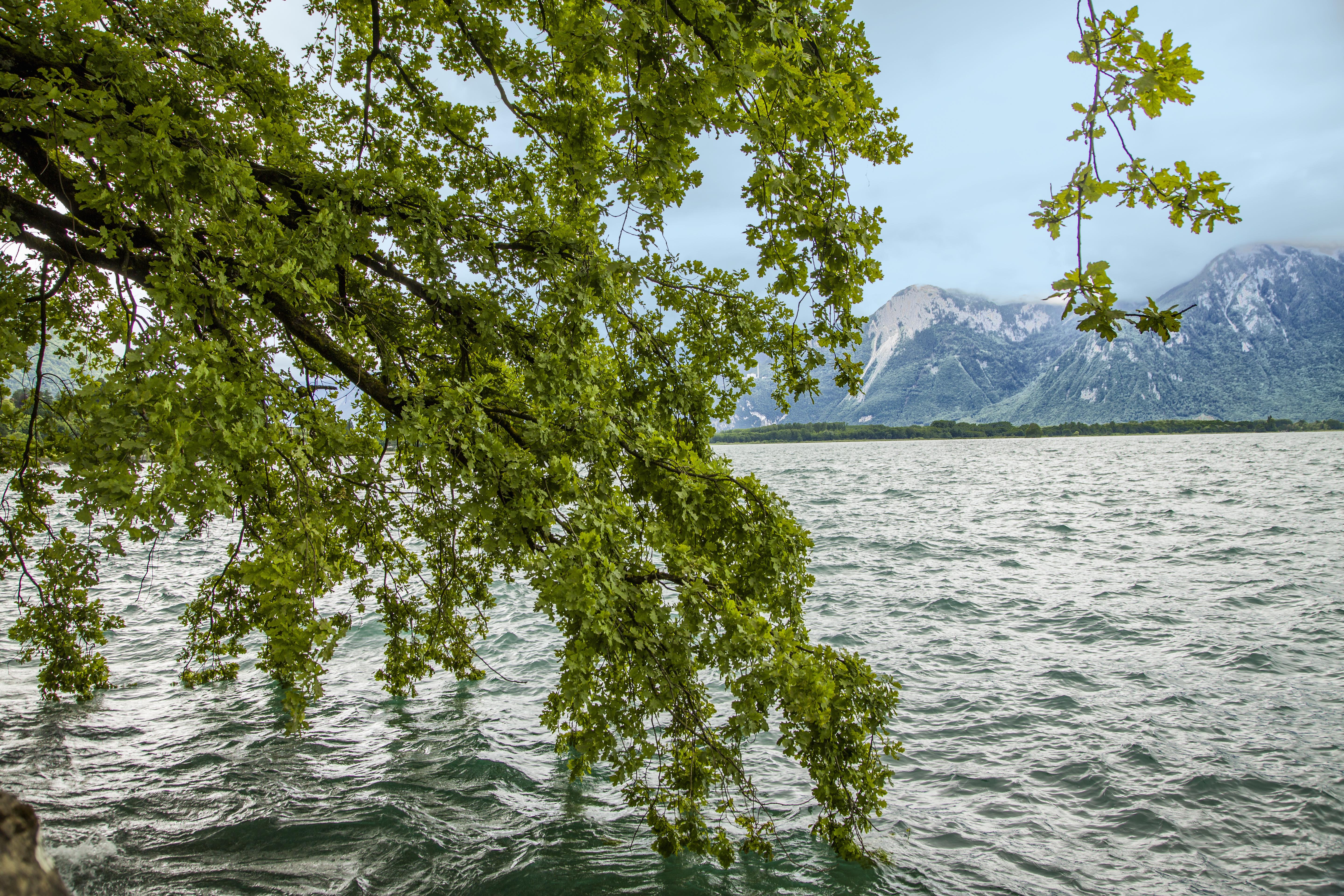 Обои Geneve lake Alps Switzerland на рабочий стол