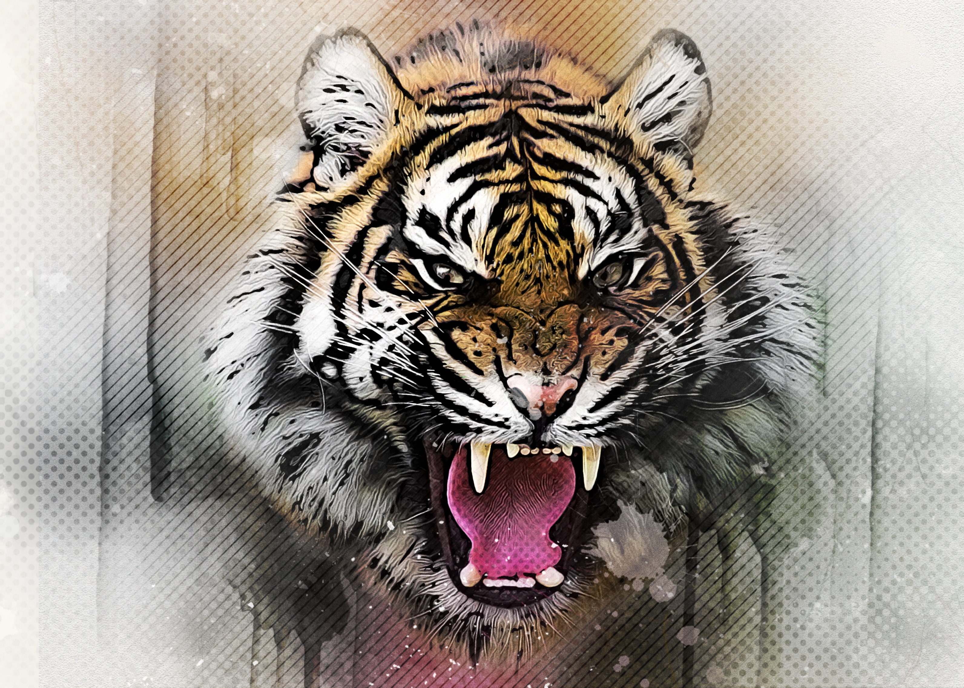 Wallpapers wild cat art animal on the desktop