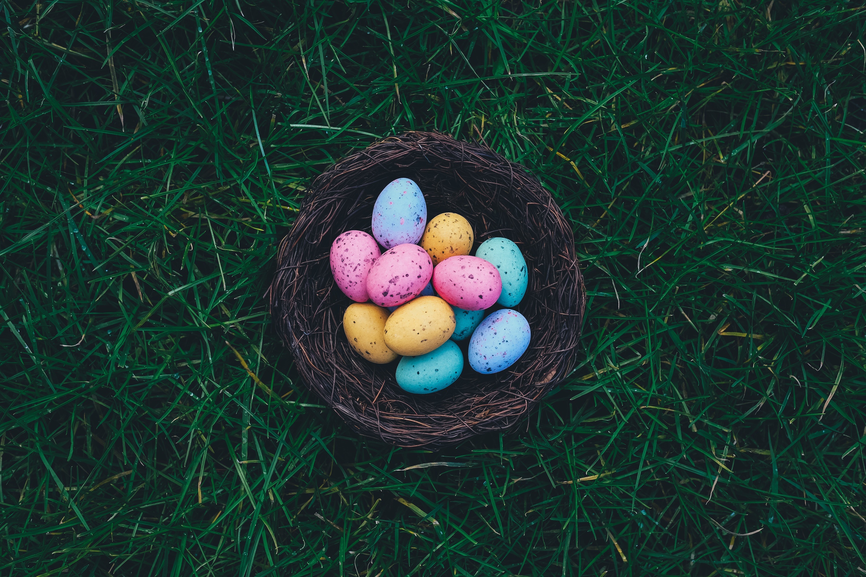 草地上篮子里的复活节彩蛋