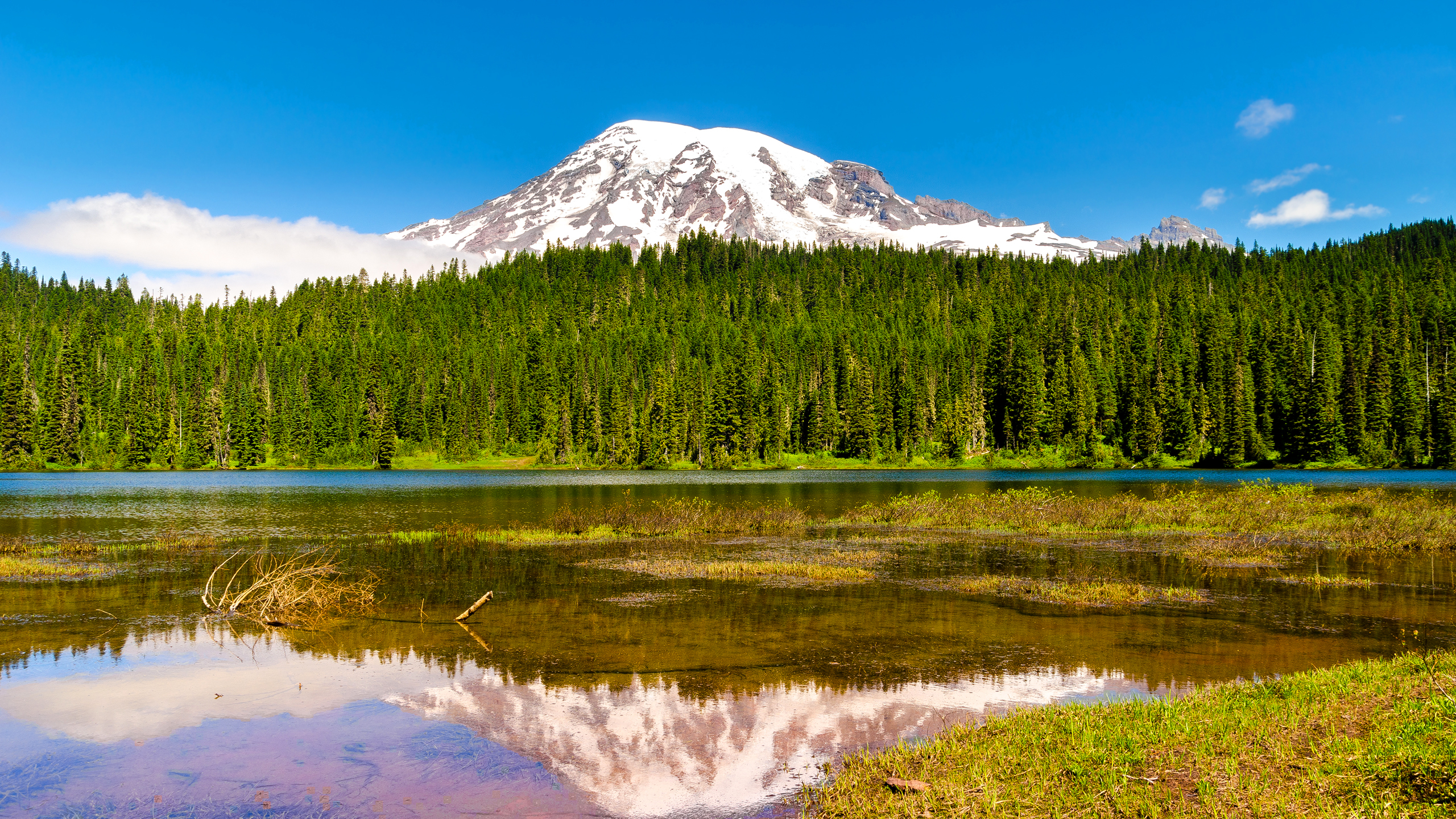 Free photo Summer landscape on a lake by a big mountain