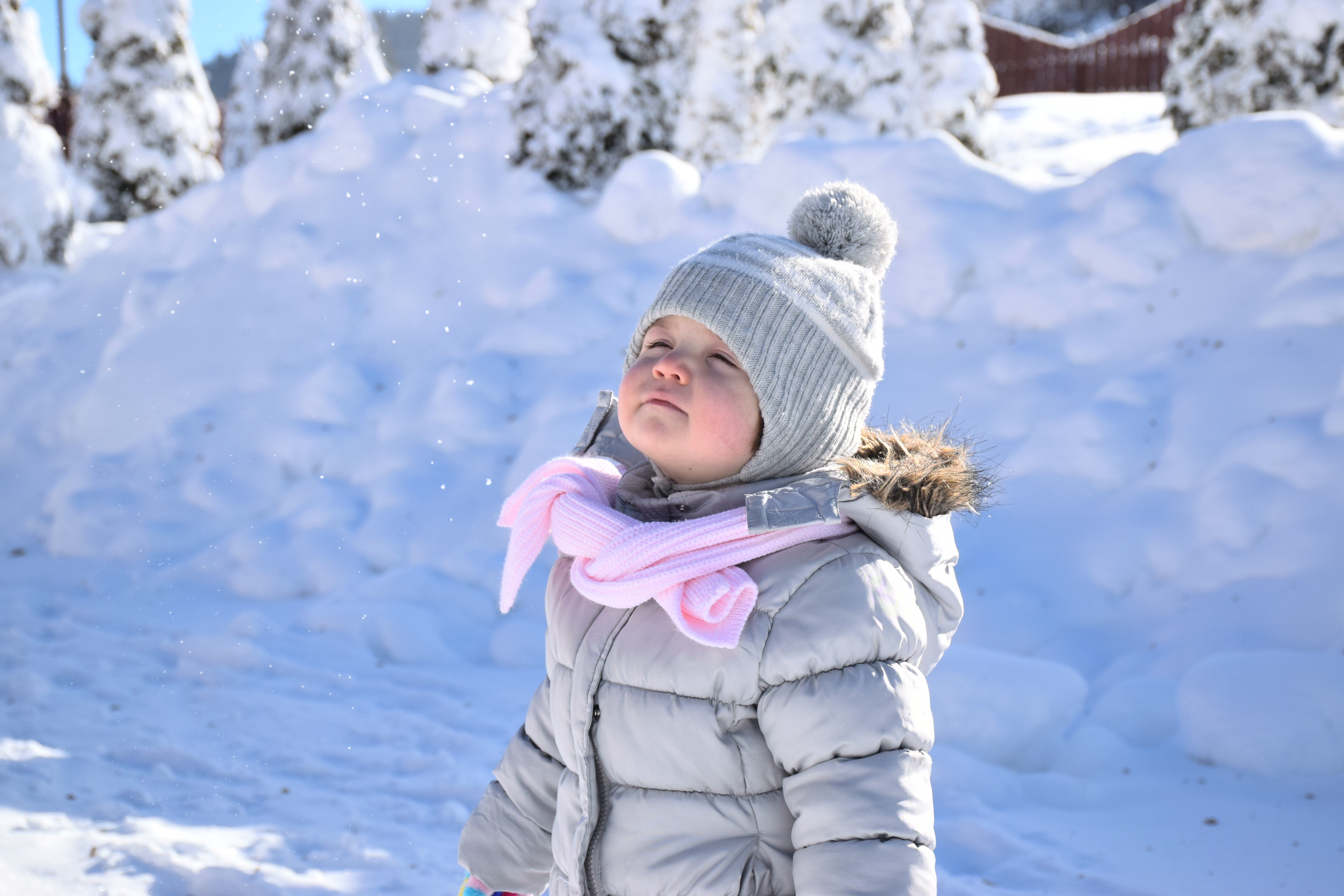 小女孩在享受冬天