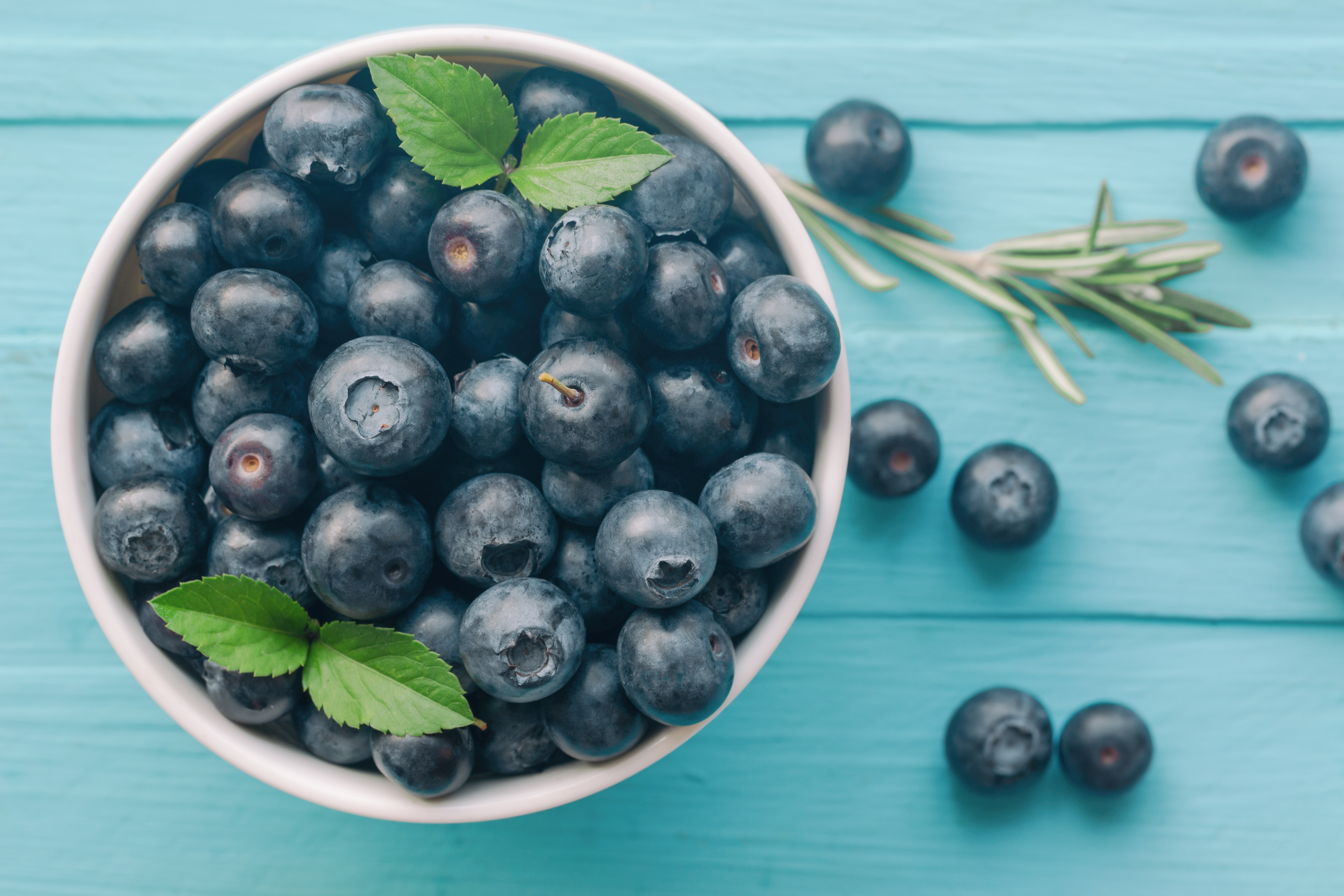 Free photo Blueberries on a blue background