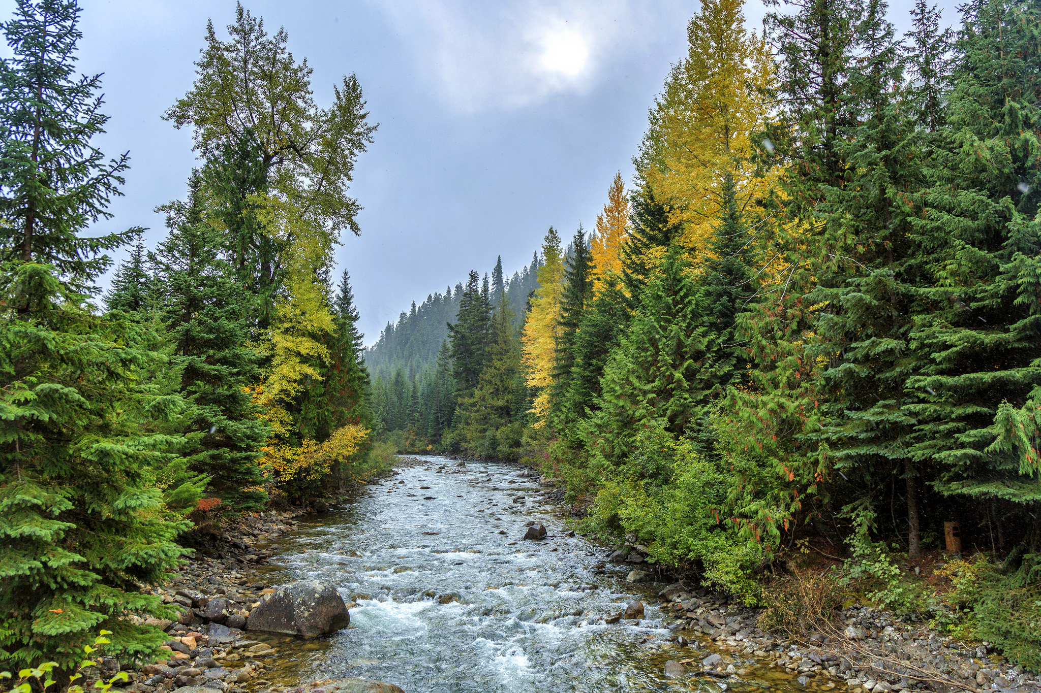 Wallpapers Cayoosh Creek Canada Duffey Lake Road on the desktop