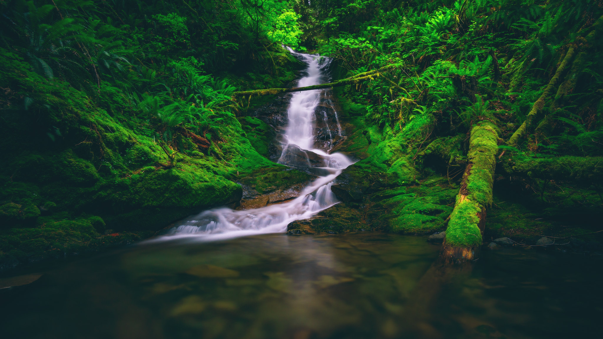 Free photo A lovely brook