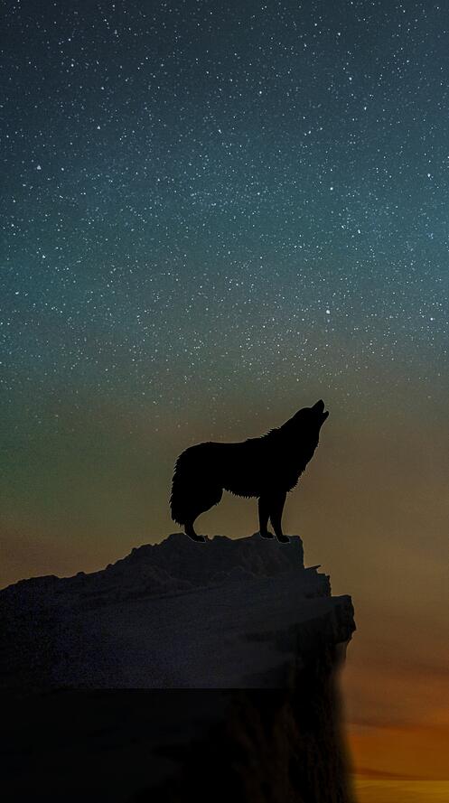 Бесплатное фото Волк воет на луну