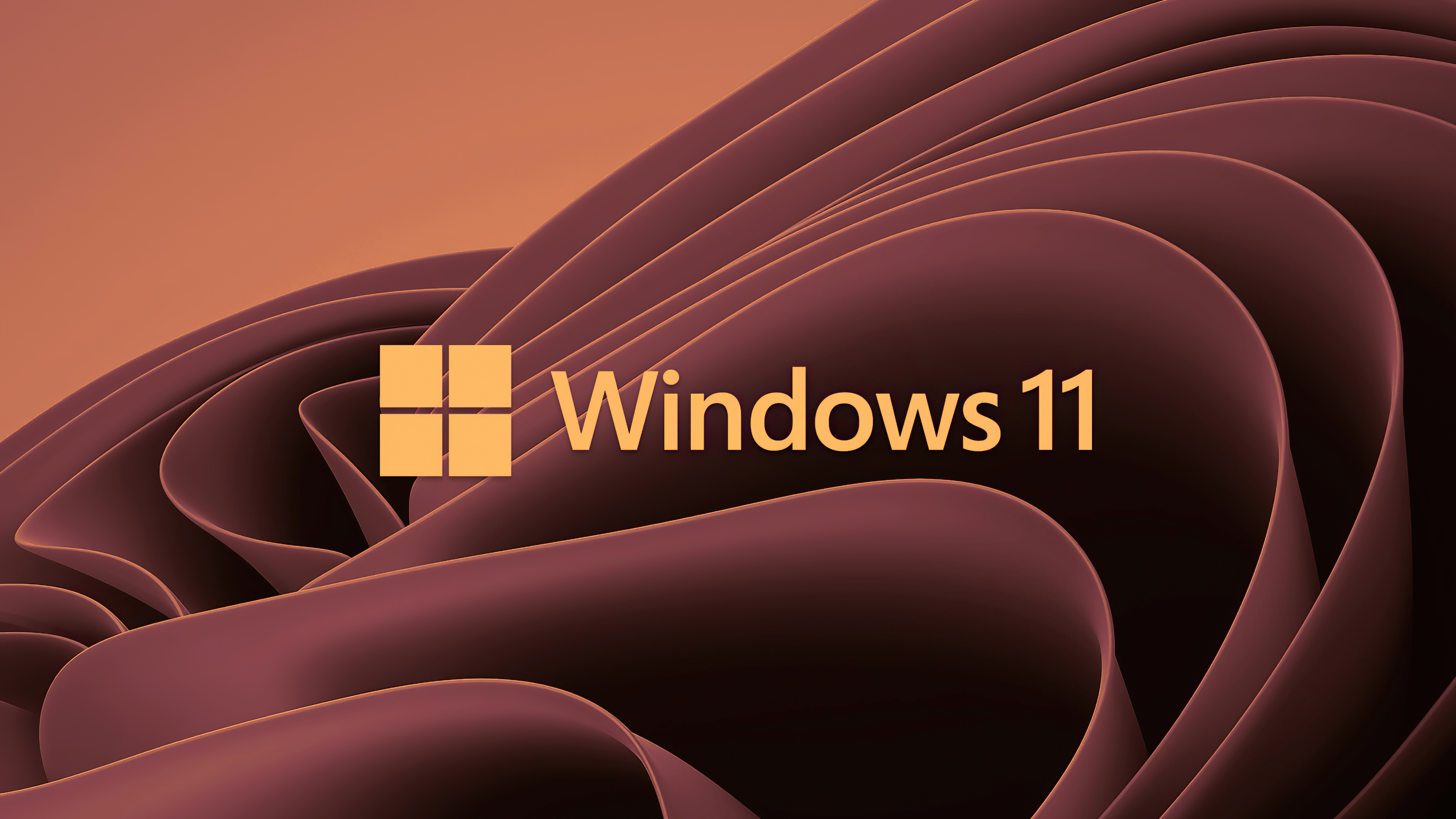 Wallpapers windows 11 Windows computer on the desktop