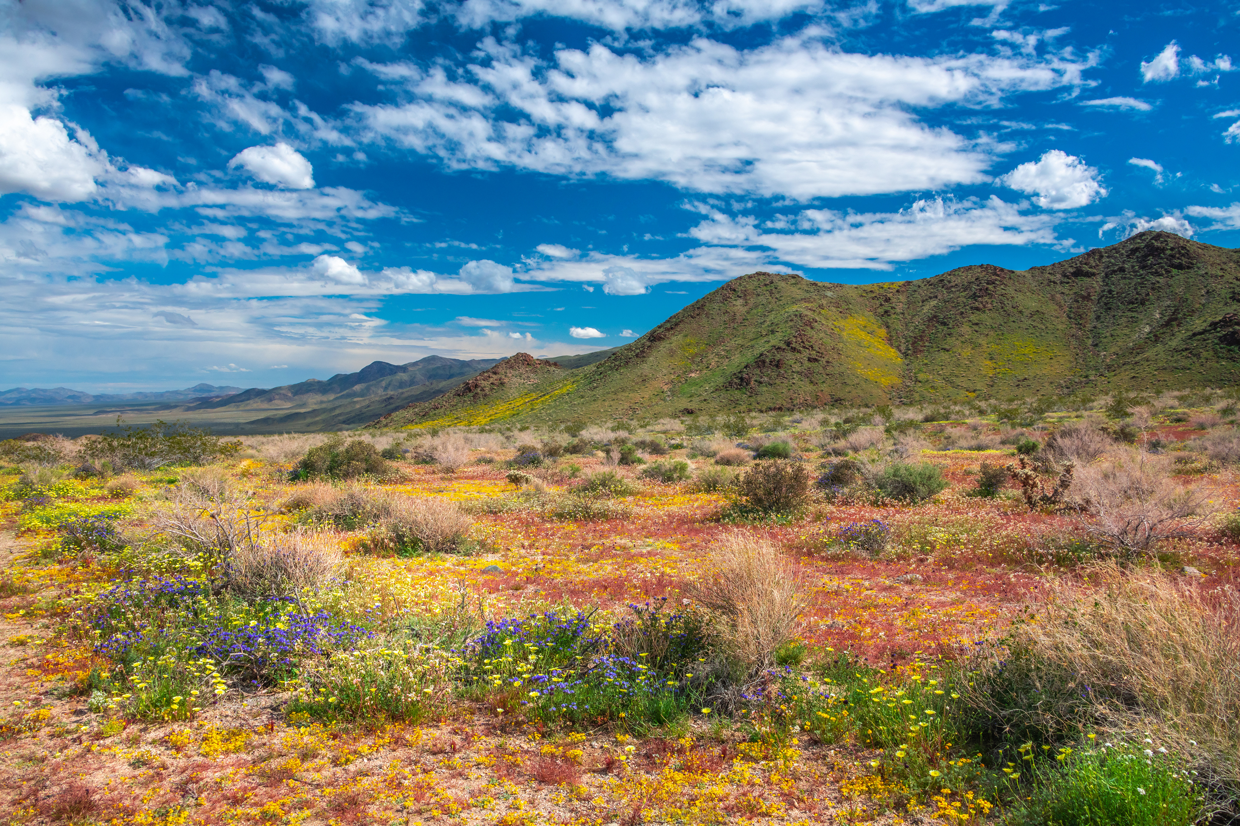 Wallpapers mountains clouds mountains usa parks on the desktop