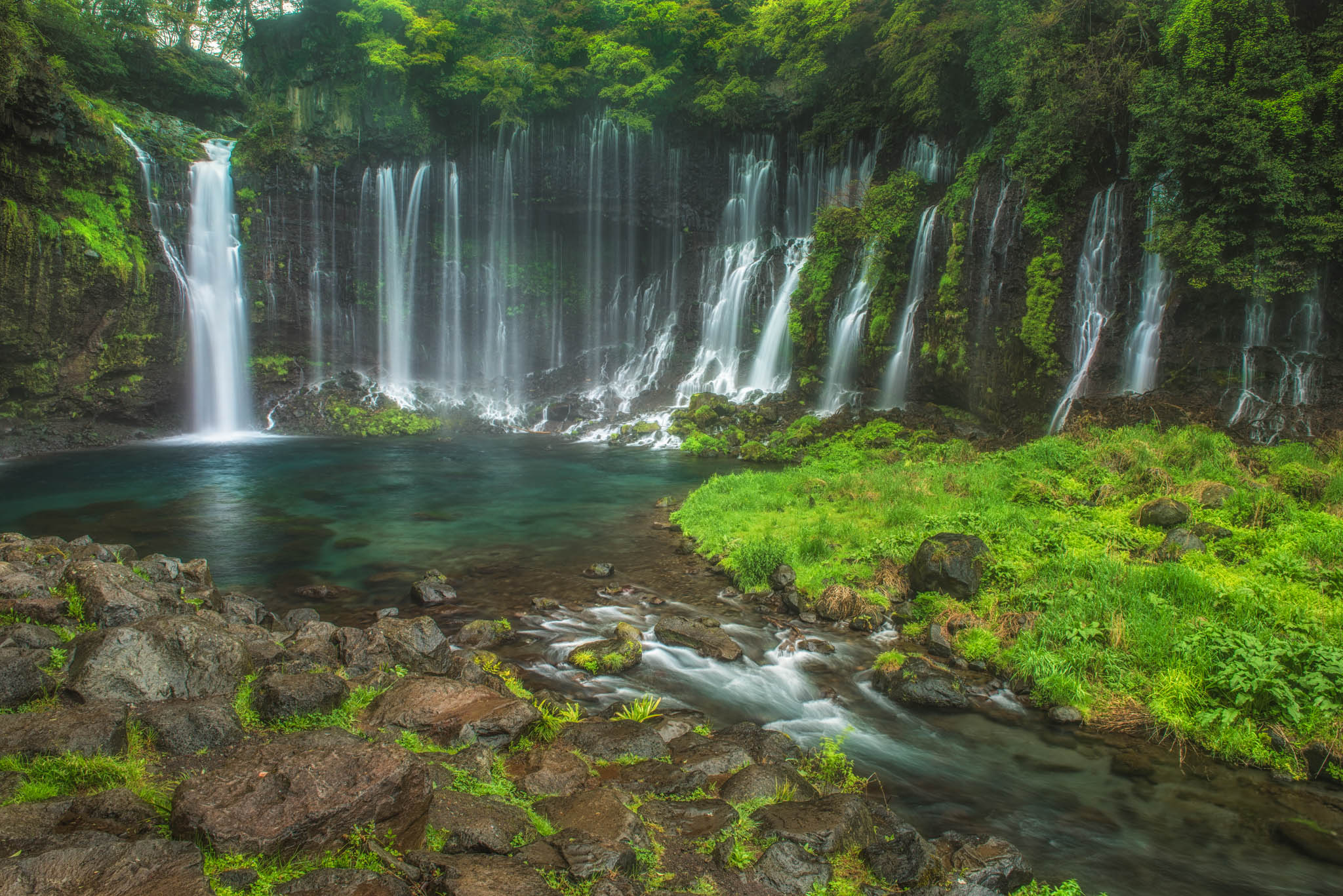 Wallpapers trees Plitvice Lakes waterfall on the desktop