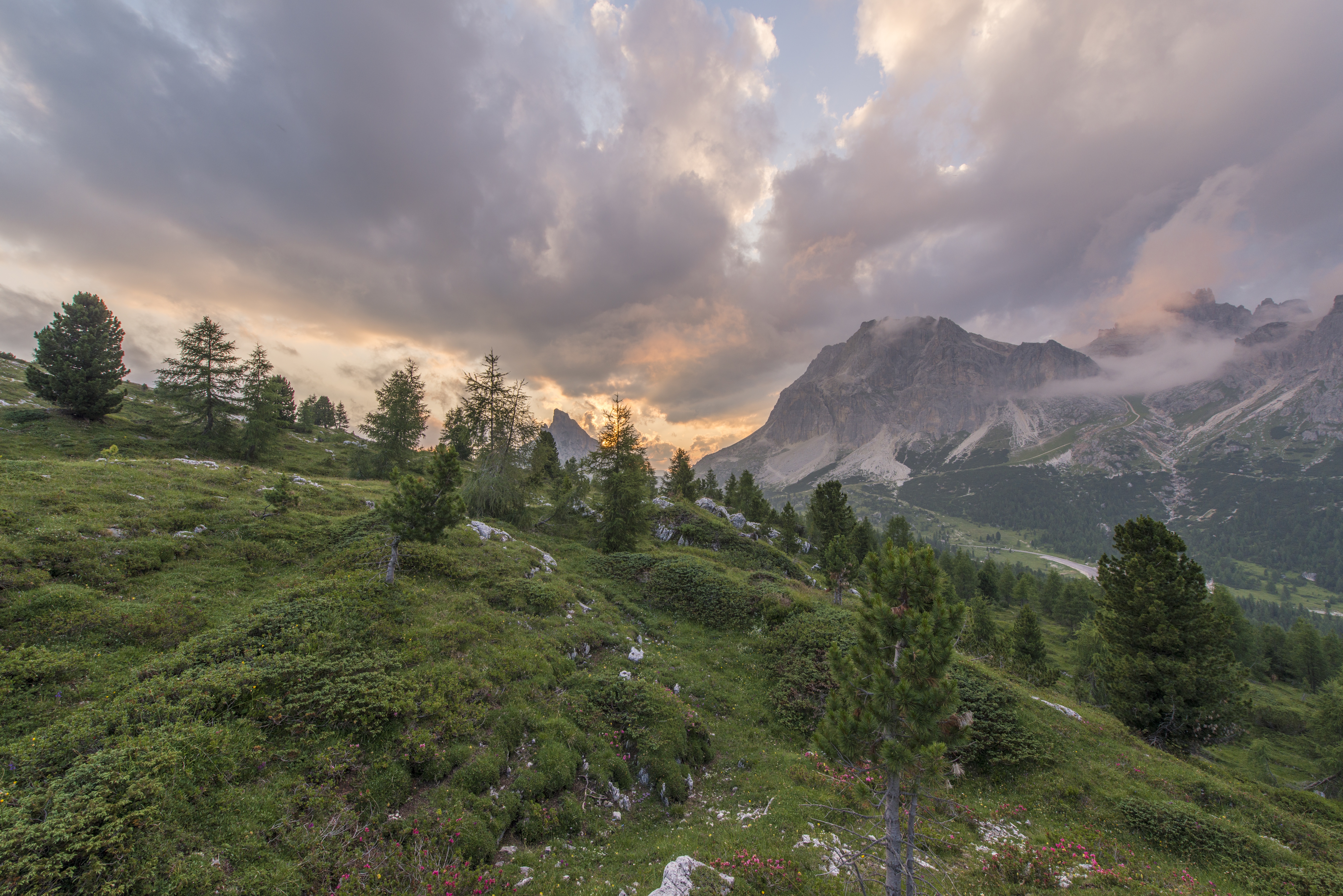 Wallpapers landscape tree nature on the desktop
