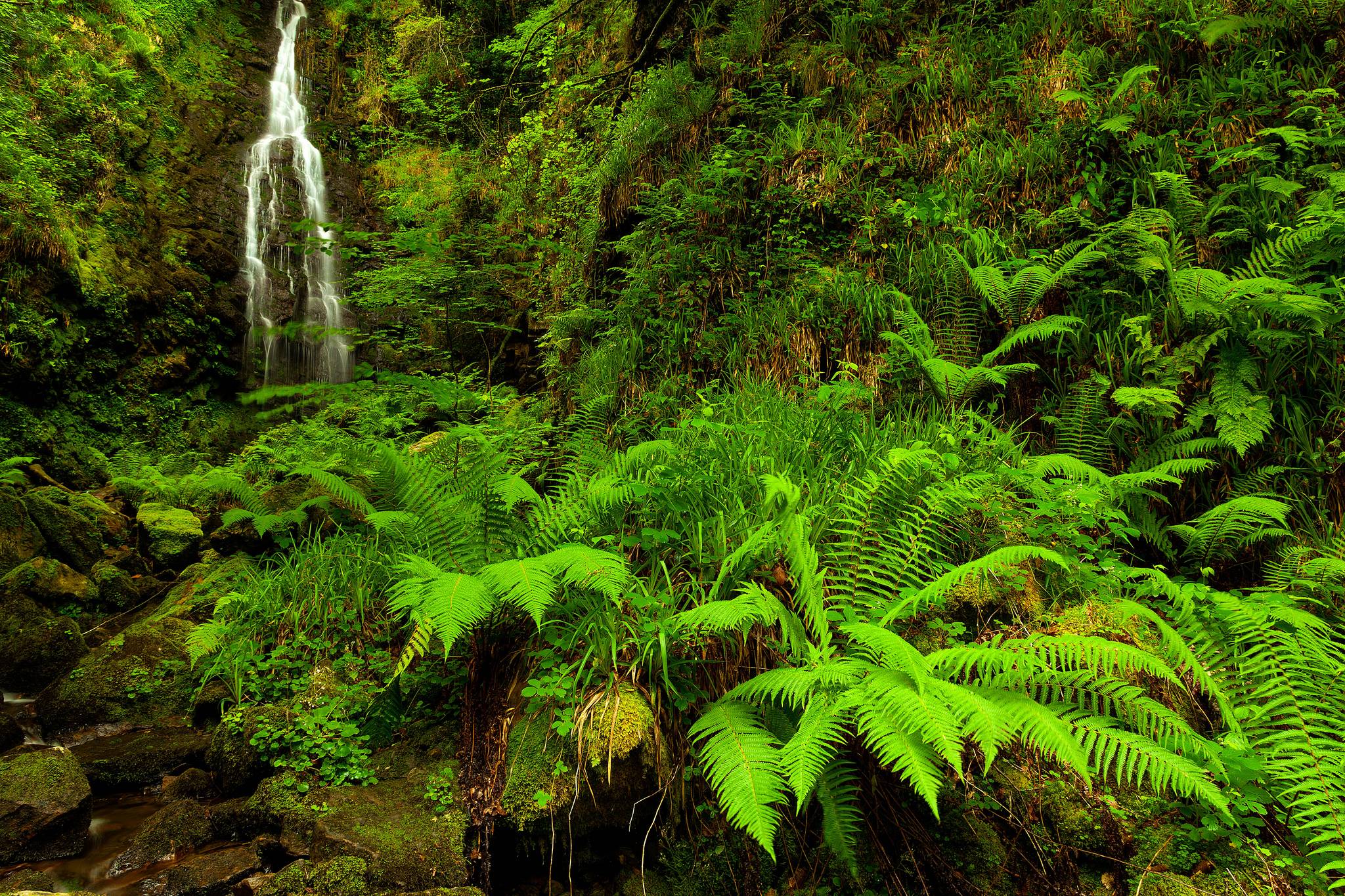 Wallpapers Gorbea nature park Basque Country on the desktop