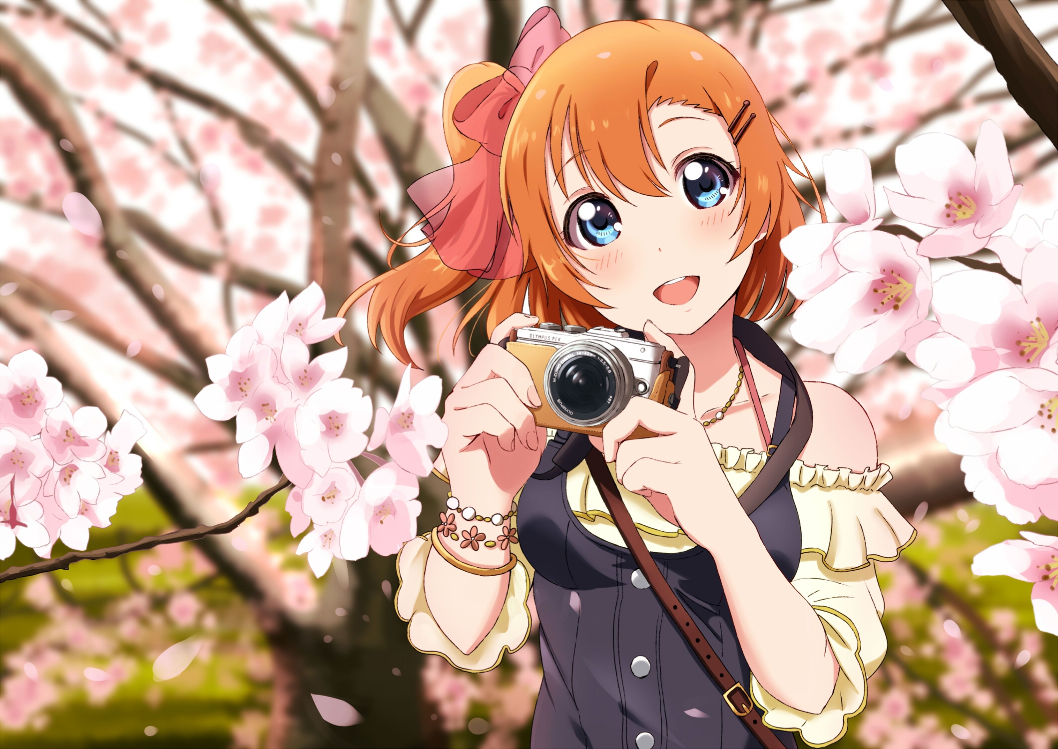 Wallpapers Kousaka Honoka Sakura petals camera on the desktop