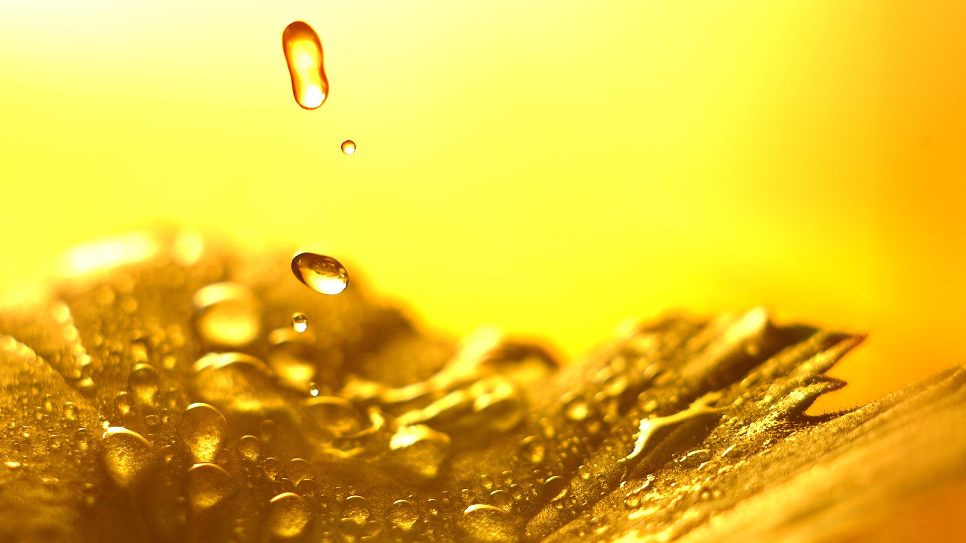 免费照片金色的水珠