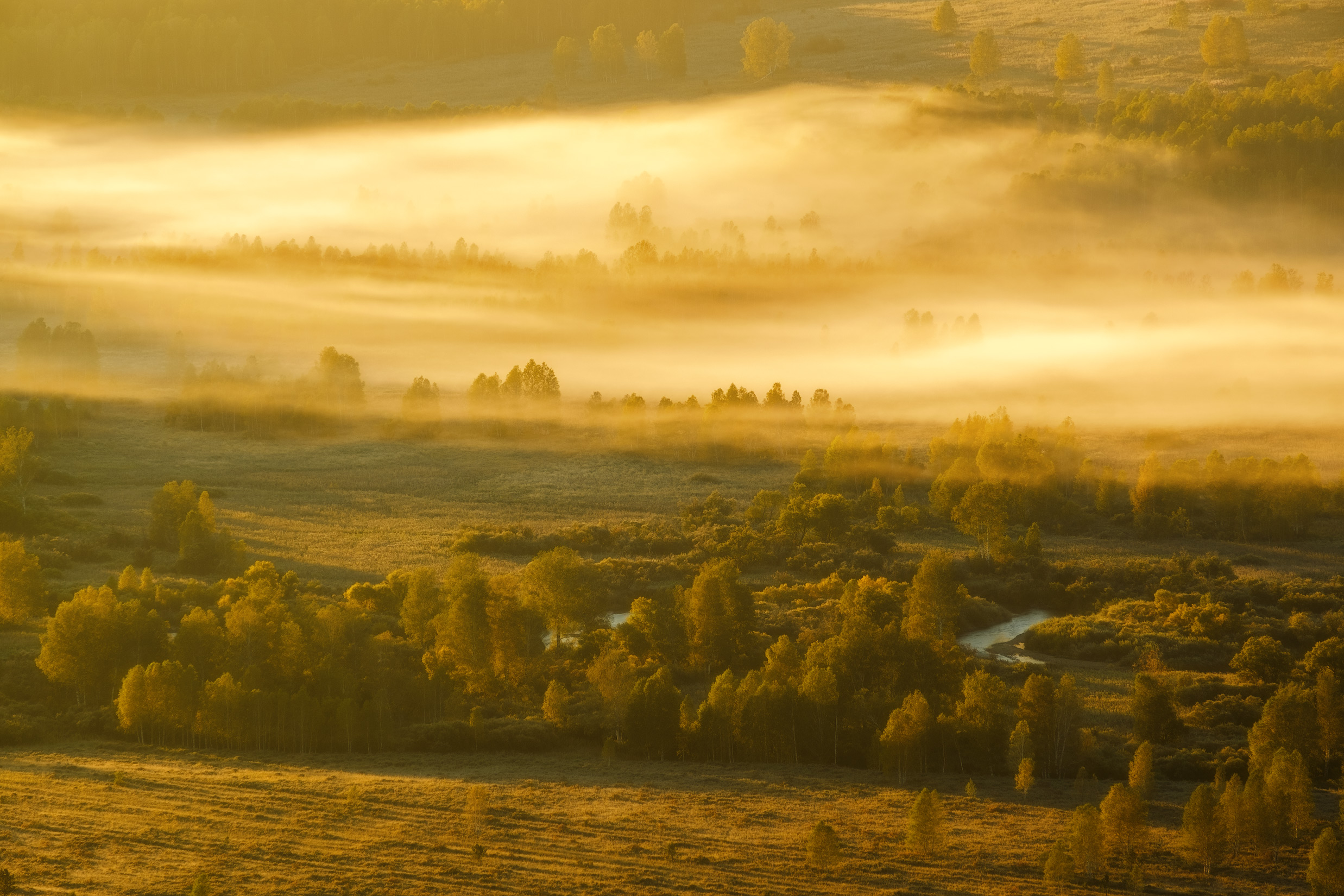 Free photo Morning fog in Tigireksky reserve