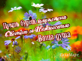 Postcard on the theme cards for friends with wishes tenderness good morning download for free