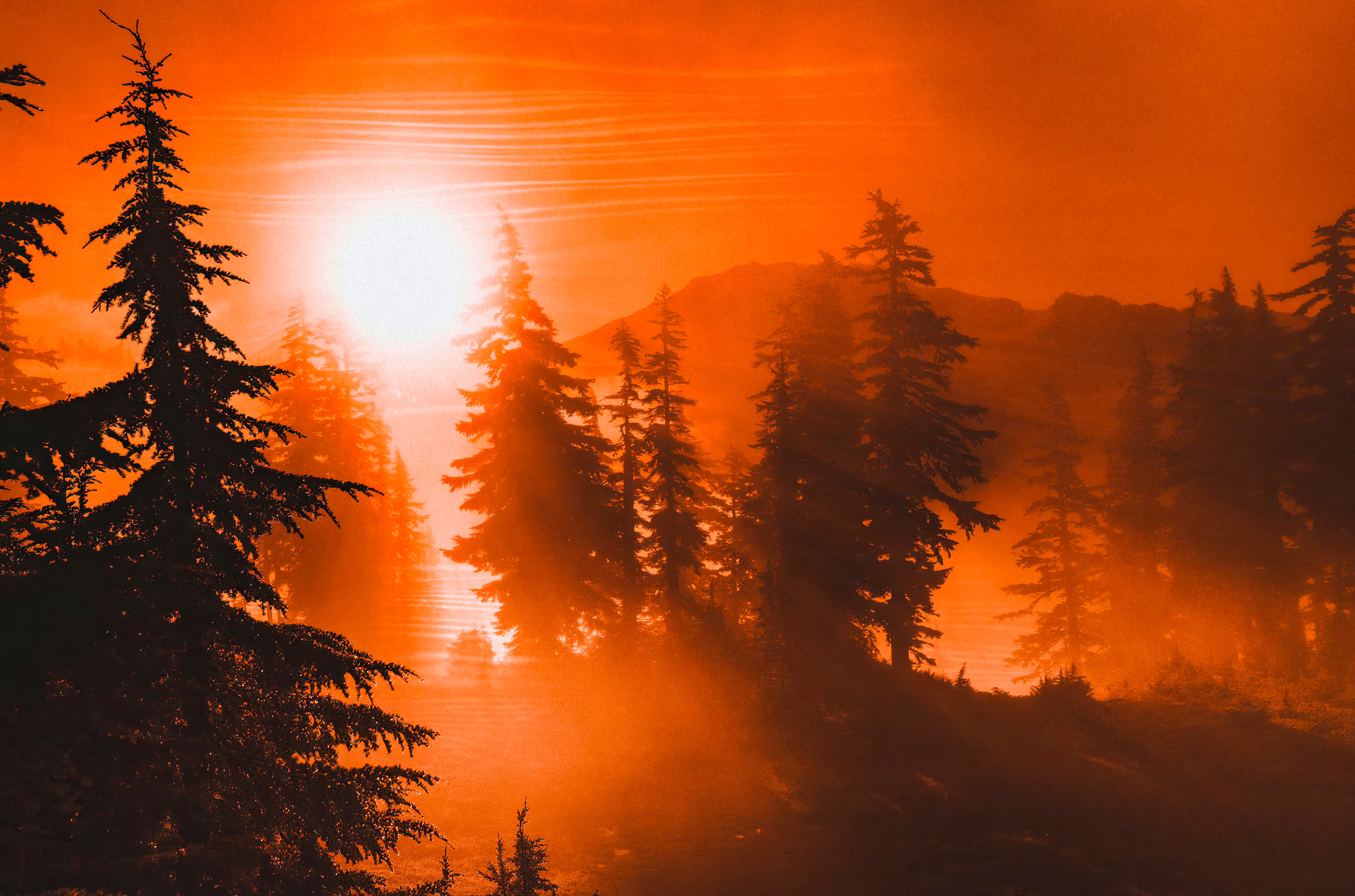 光束中炙热的阳光