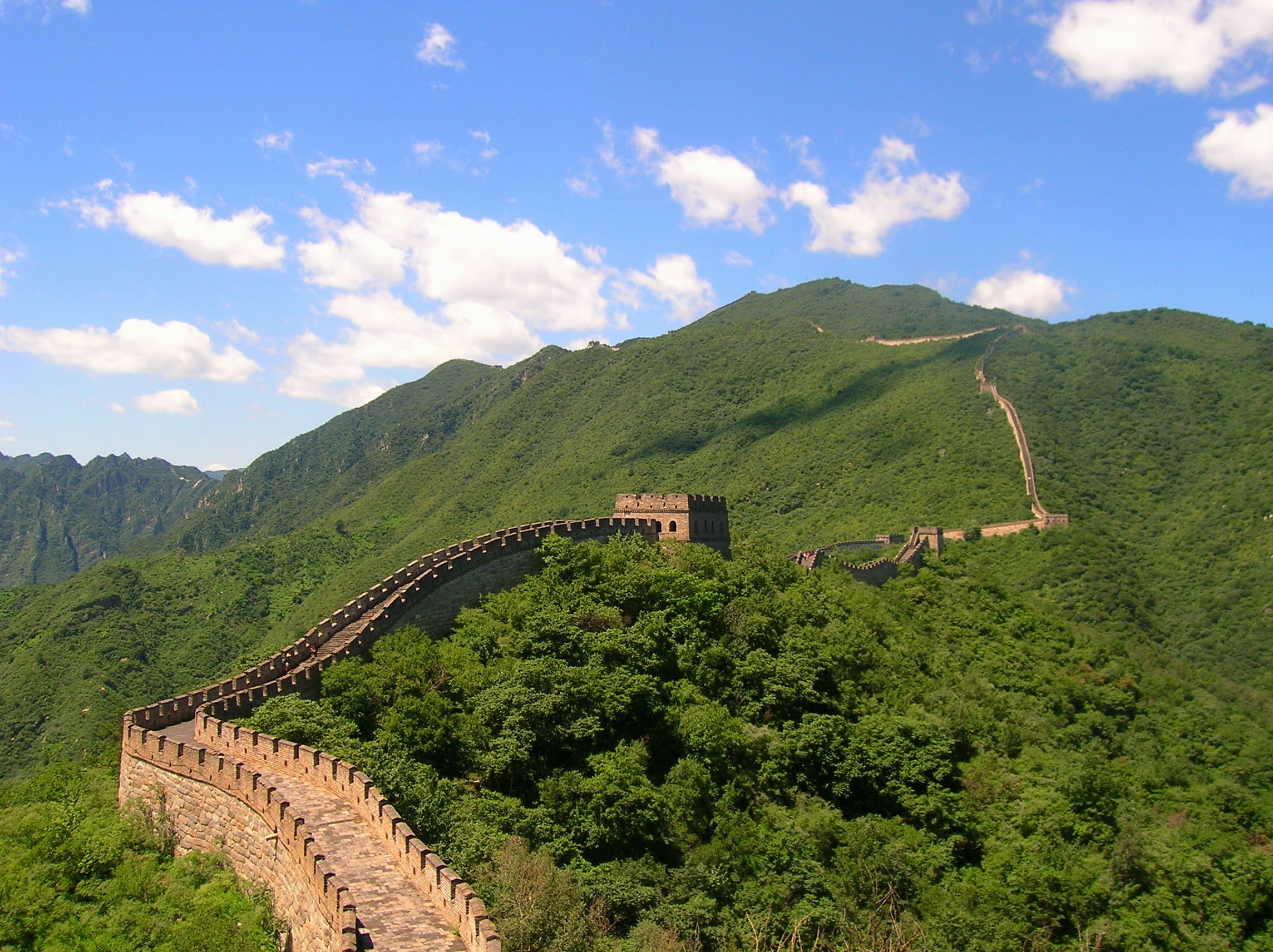 Free photo The Chinese wall runs through rolling hills with green trees