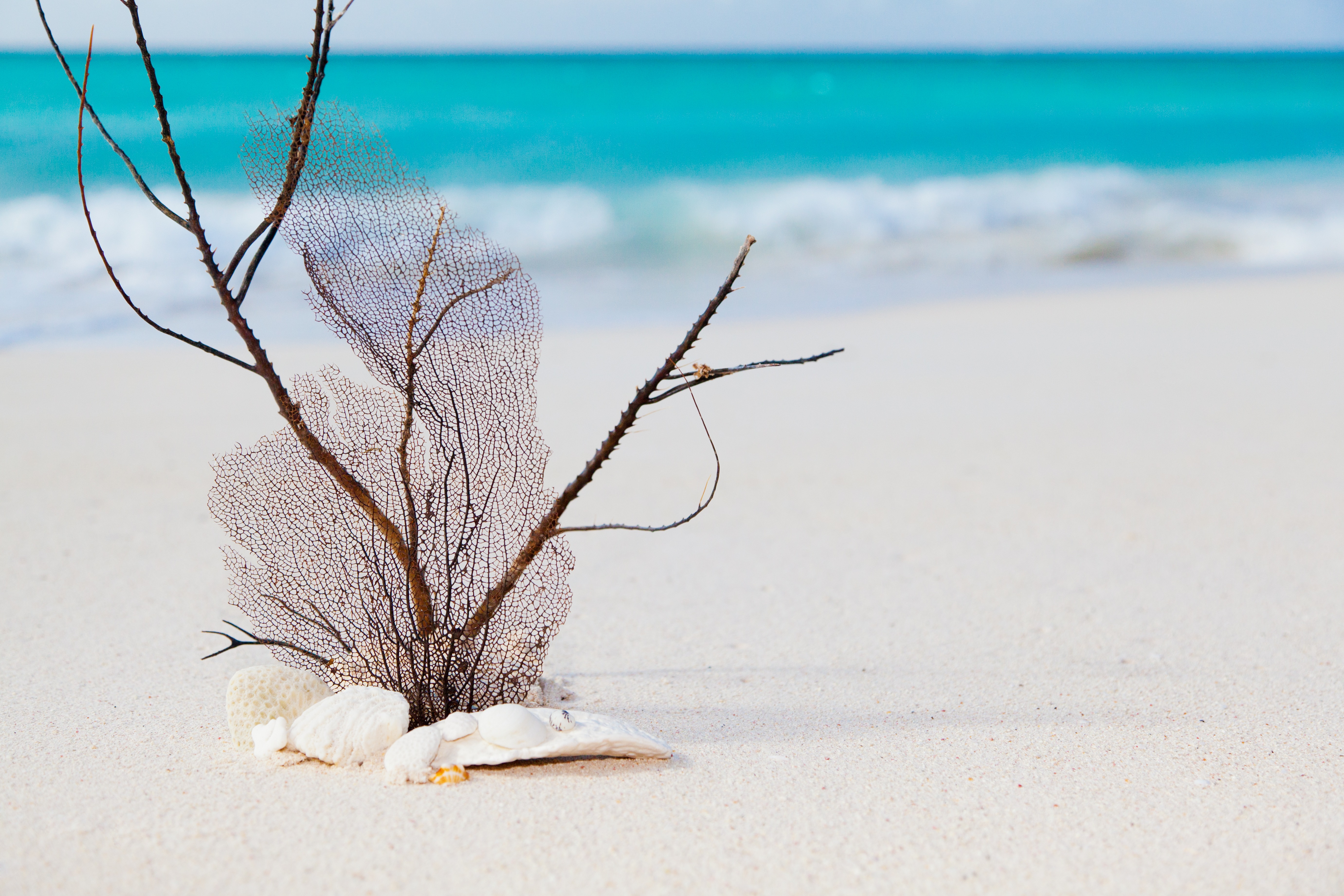 Wallpapers beach sea water on the desktop
