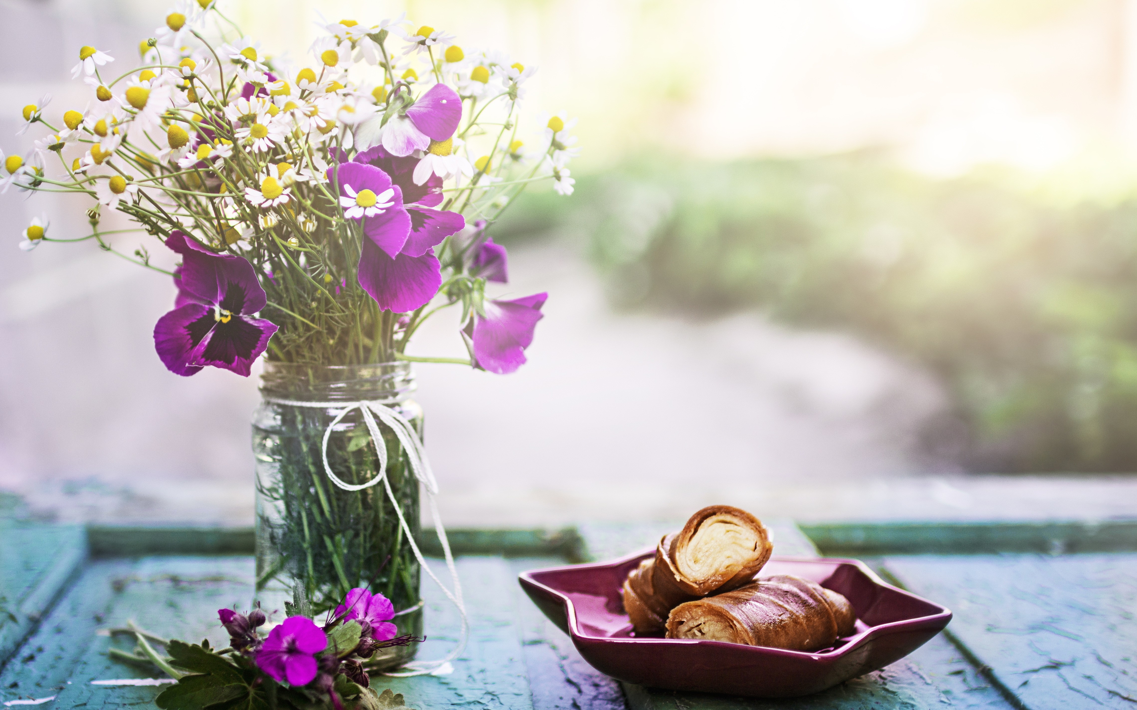 桌面上的壁纸鲜花 植物 花瓶