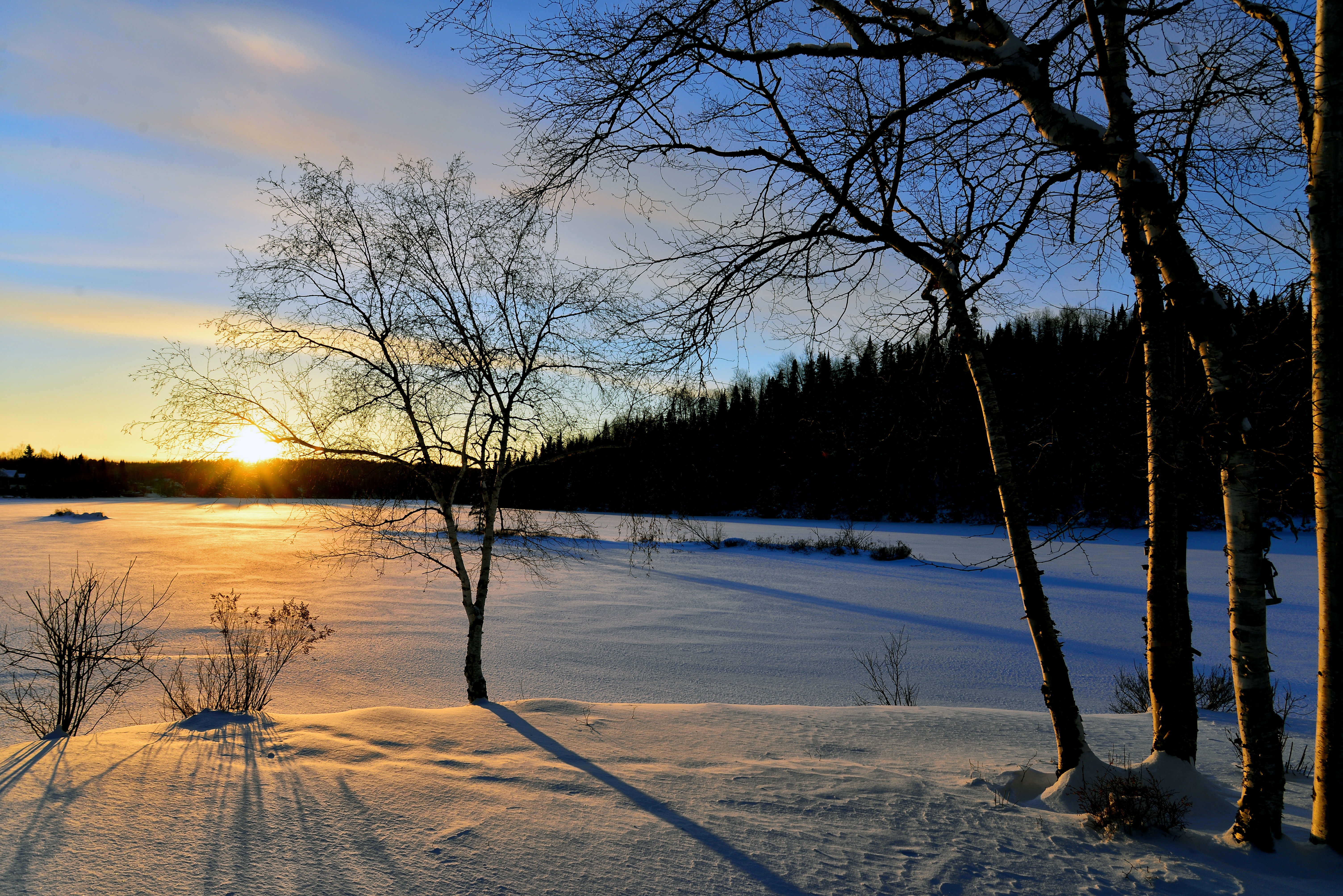 Free photo Winter snow field