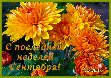 С Началом Недели Осенние Картинки