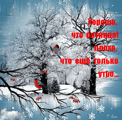 Postcard on the theme friday birds winter download for free