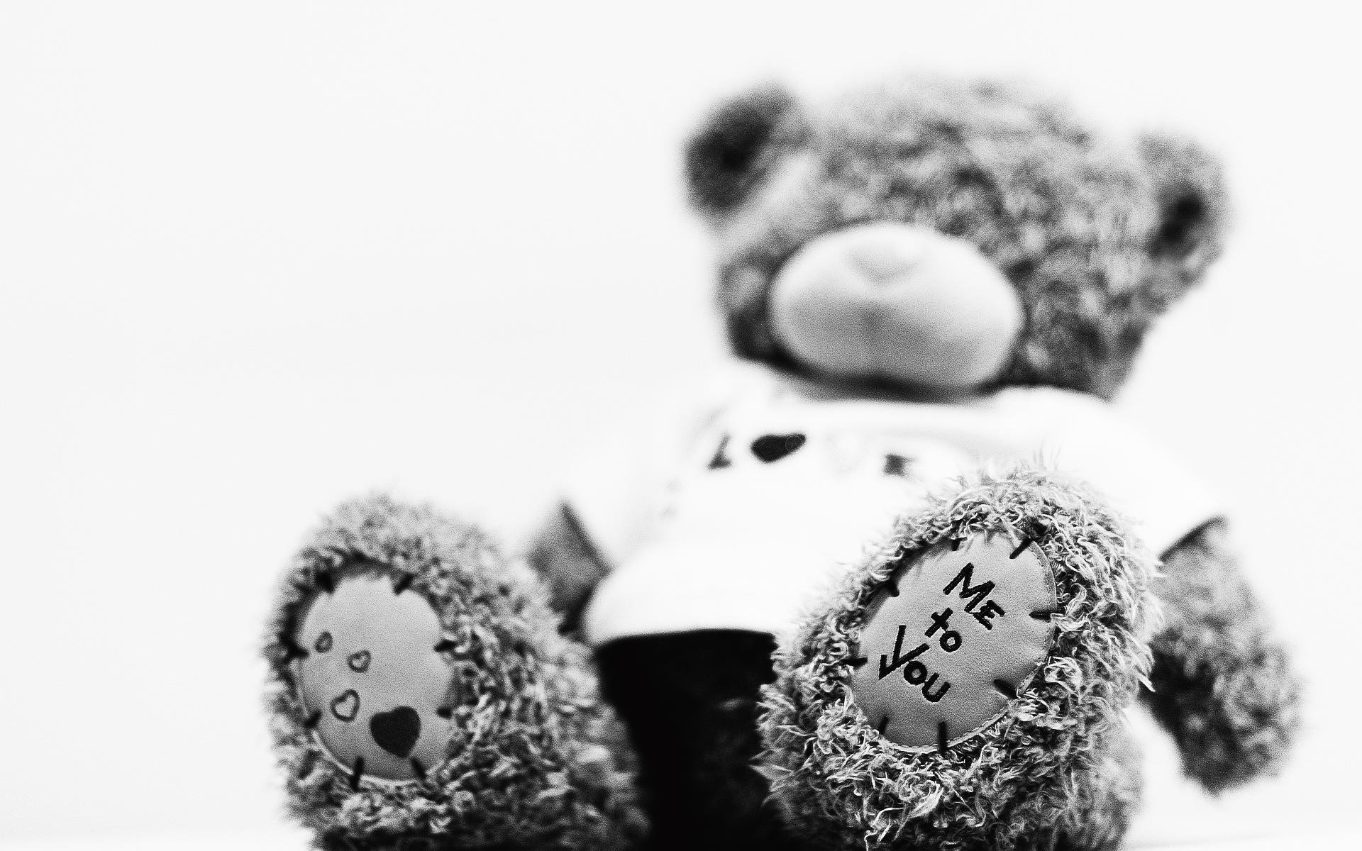 Free photo Teddy bear