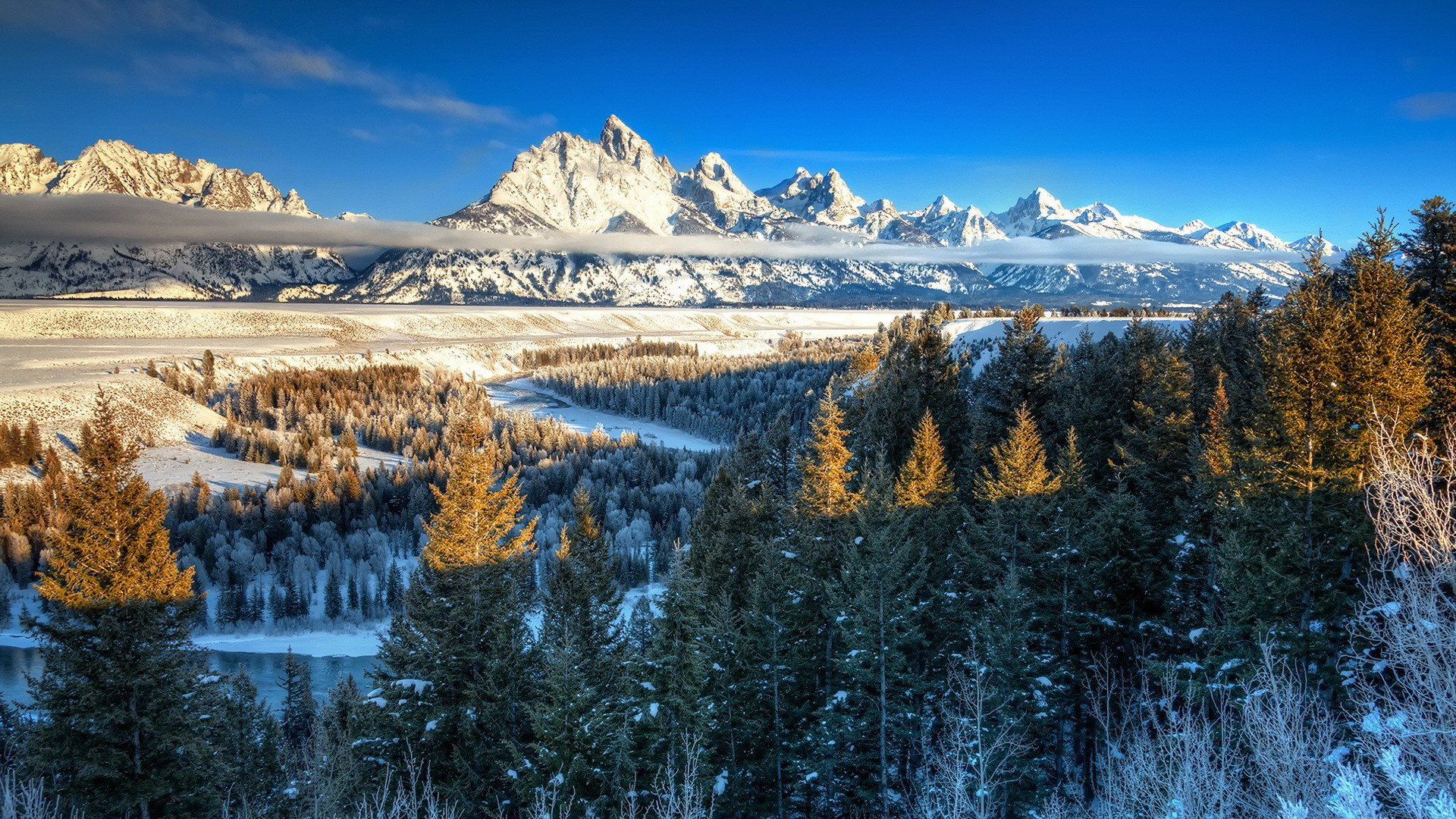 Free photo Winter landscape in the mountains