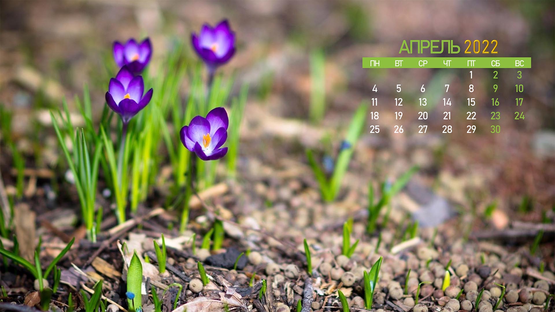 Free photo Calendar 2022