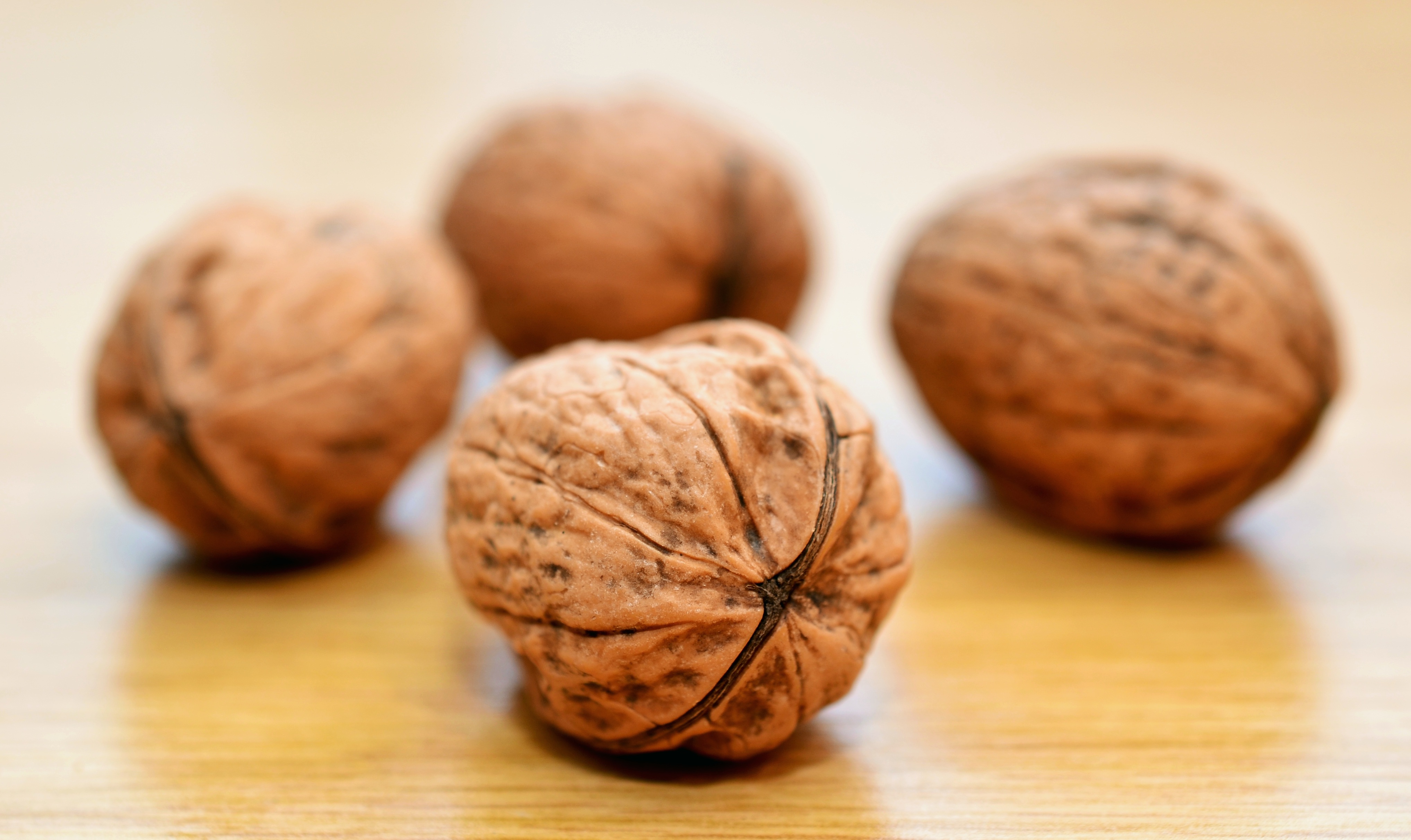 Free photo Walnuts close-up