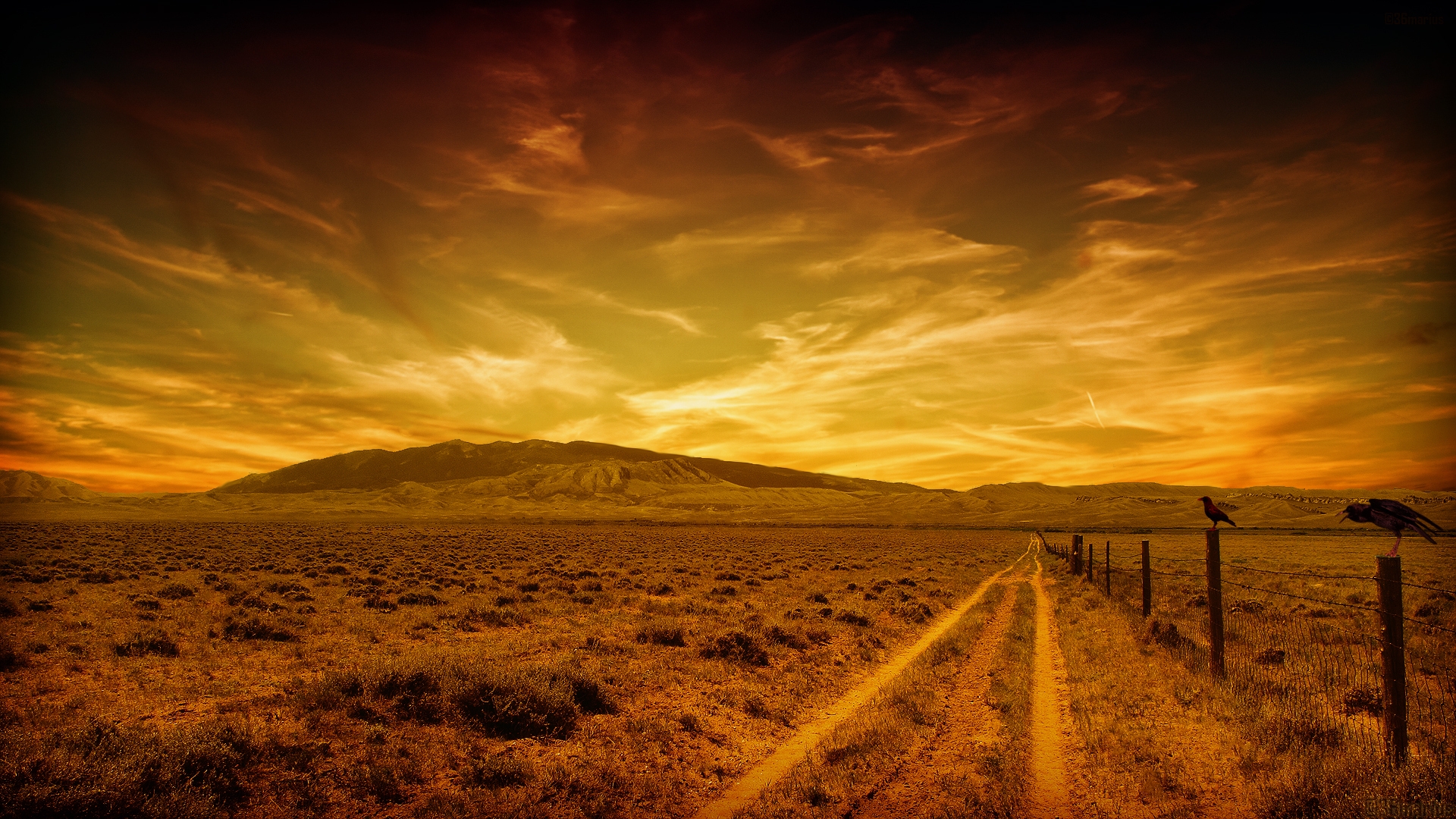 Free photo Colorful sunset with clouds in the desert