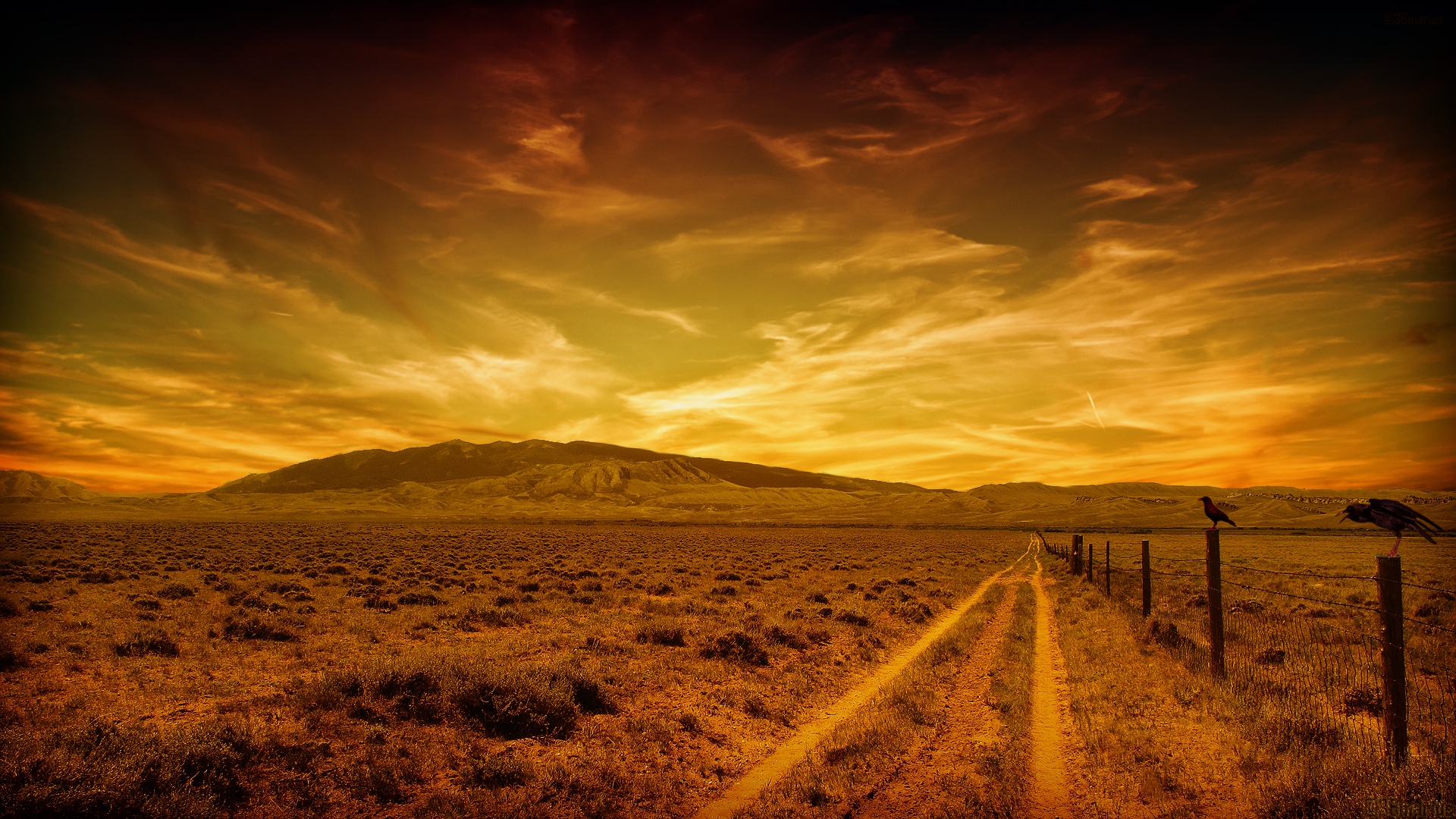 沙漠中五彩缤纷的云彩夕阳