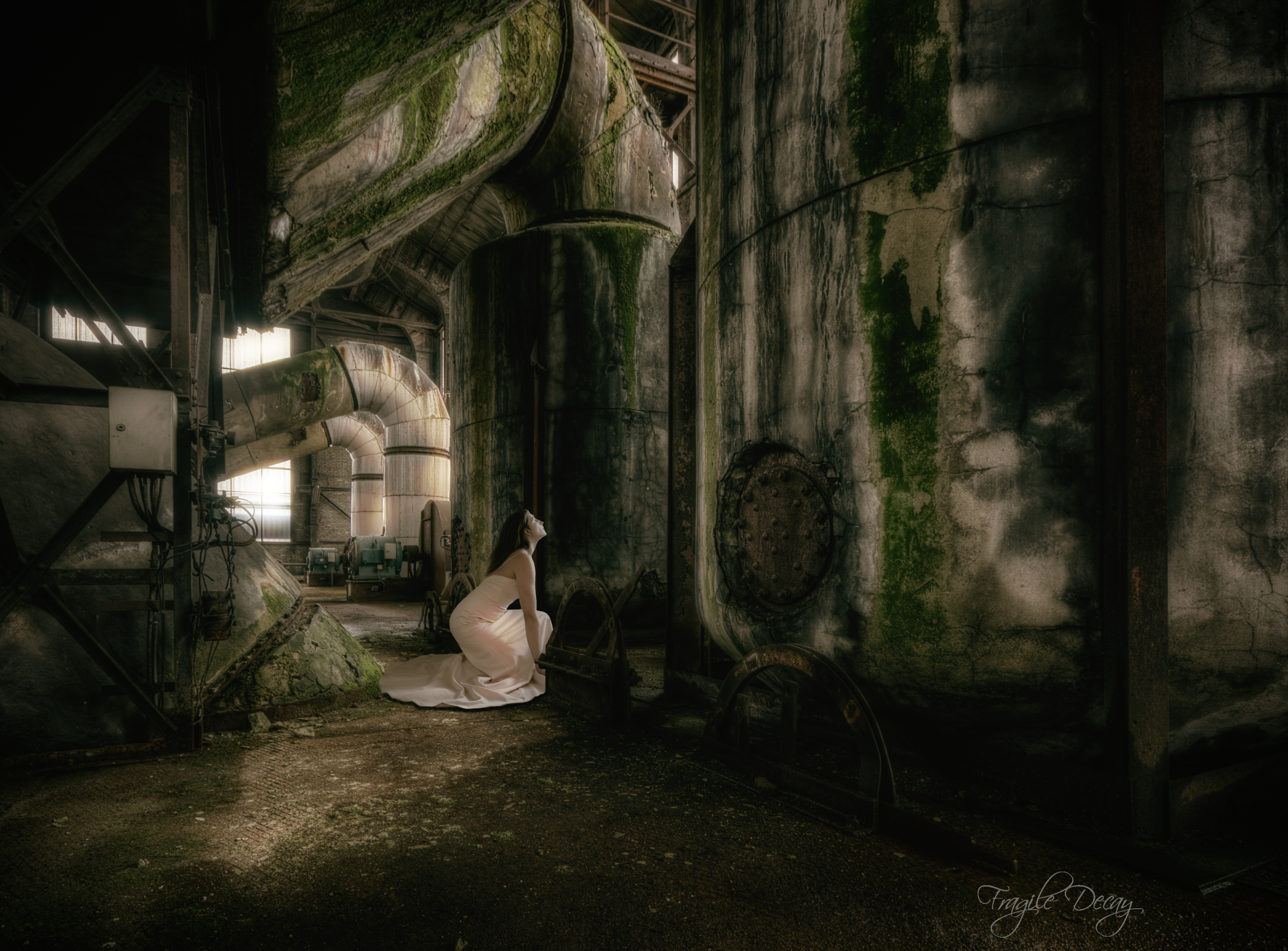 桌面上的壁纸栽种 丢失 被抛弃的